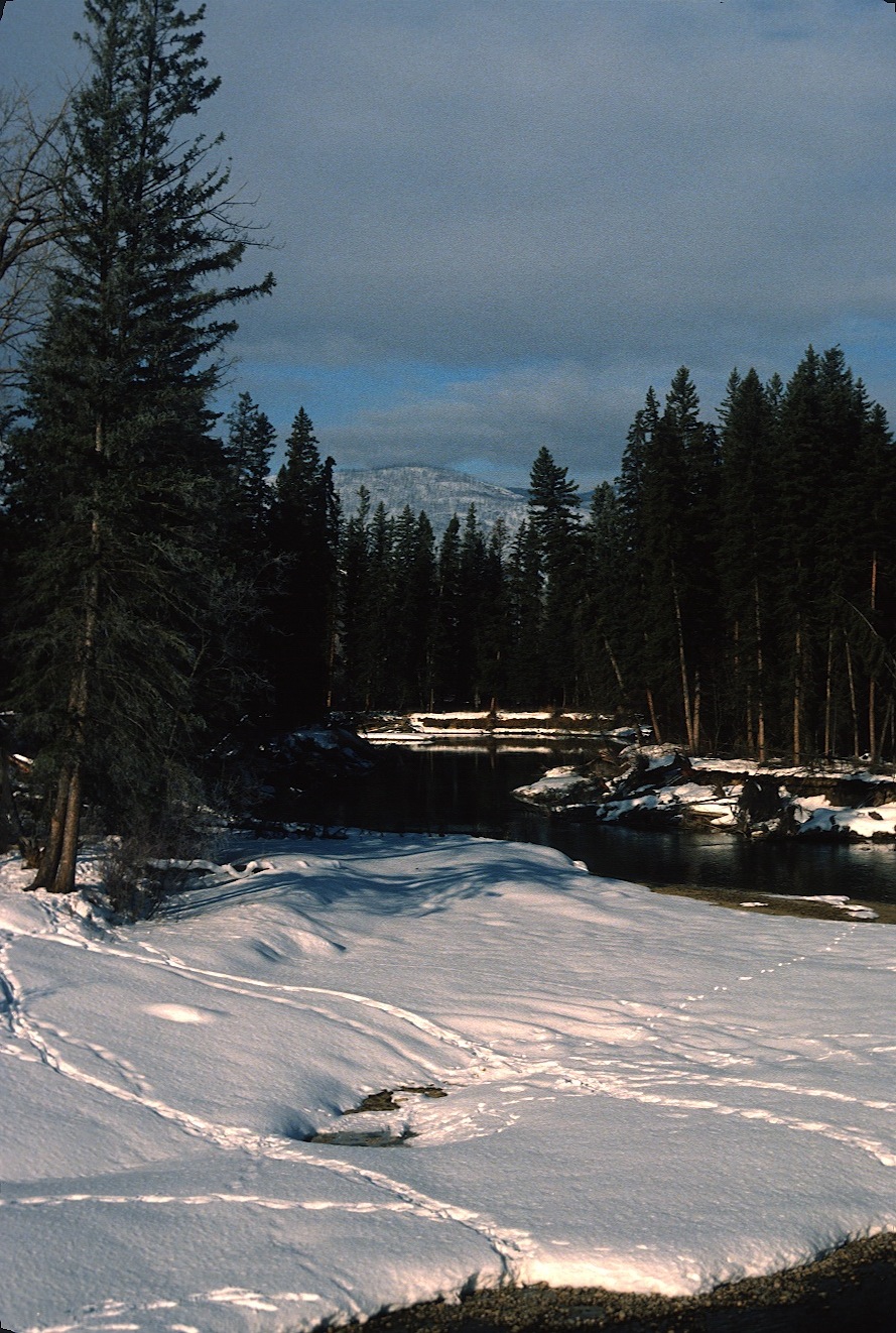1978-03-R2-F04.jpg