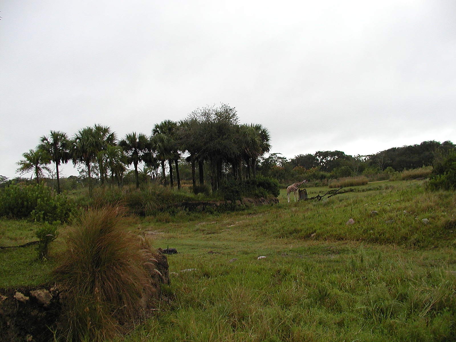 PB100234.jpg