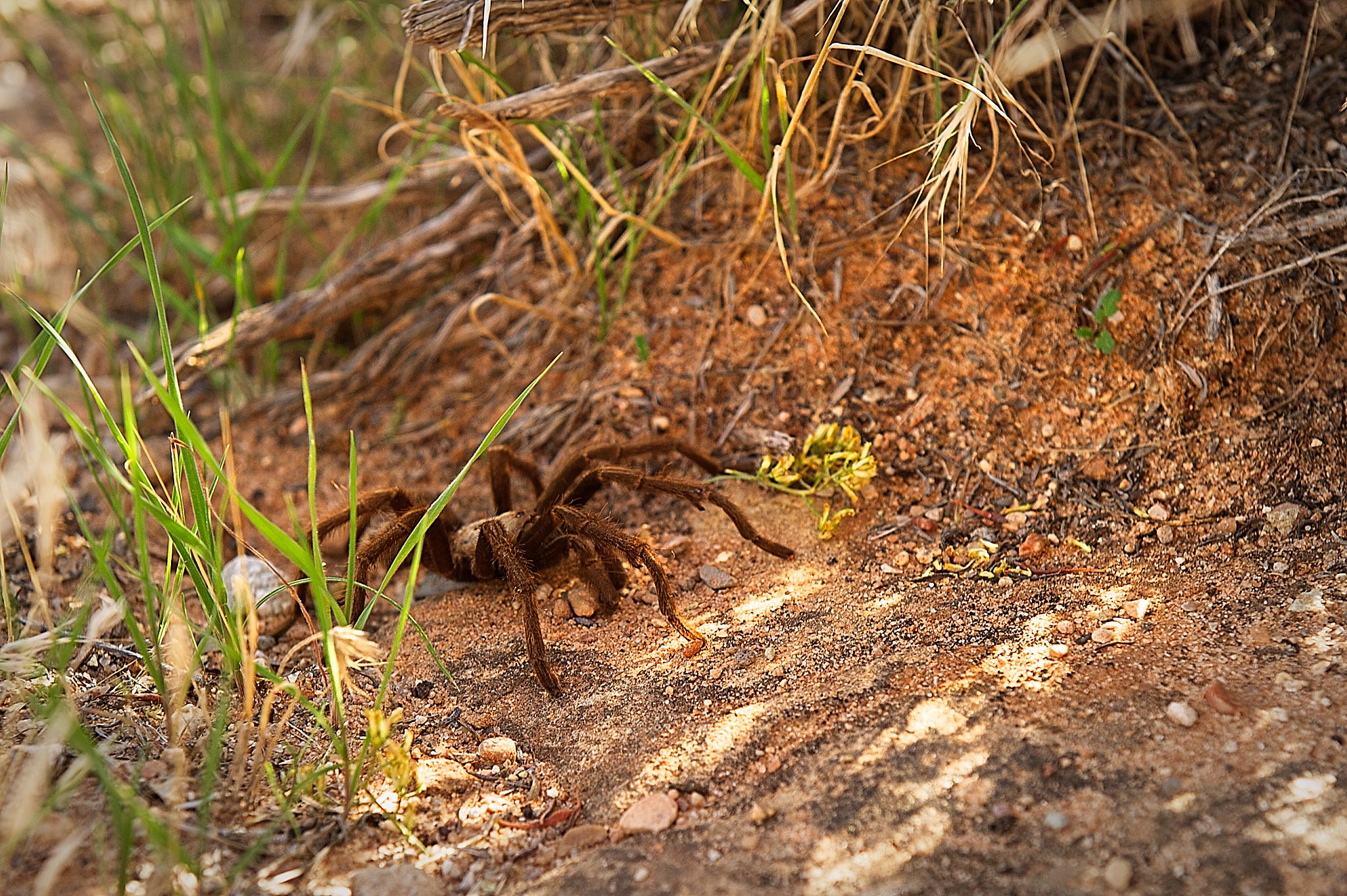20121022-DSC_1044-Edit.jpg