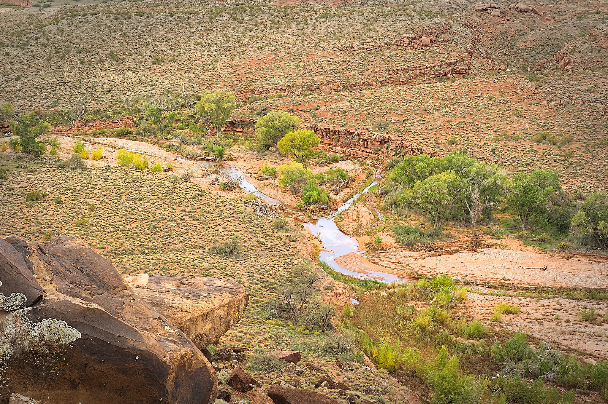20121022-DSC_1137.jpg