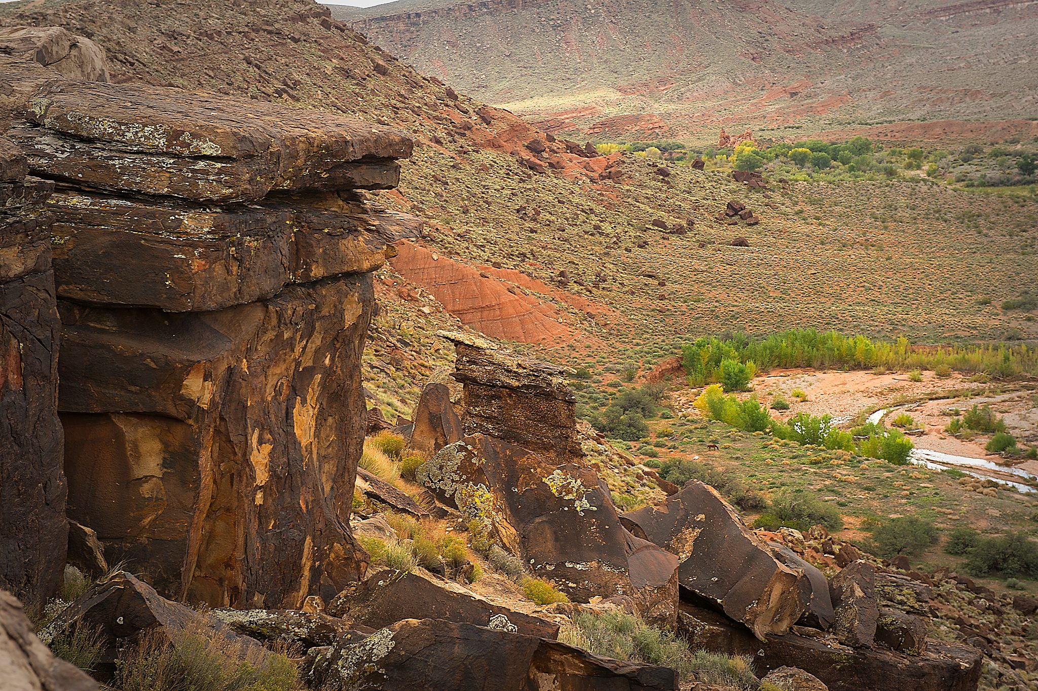20121022-DSC_1159.jpg