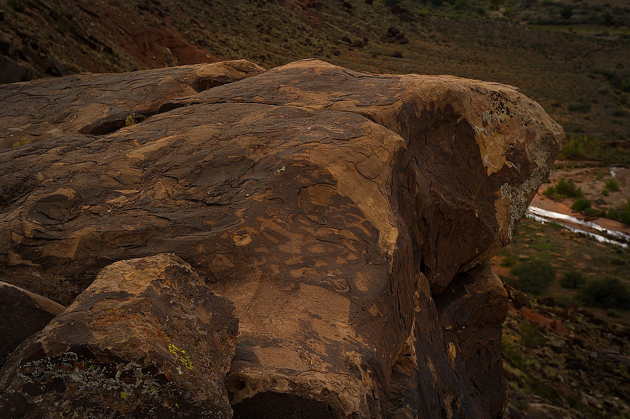20121022-DSC_1168.jpg