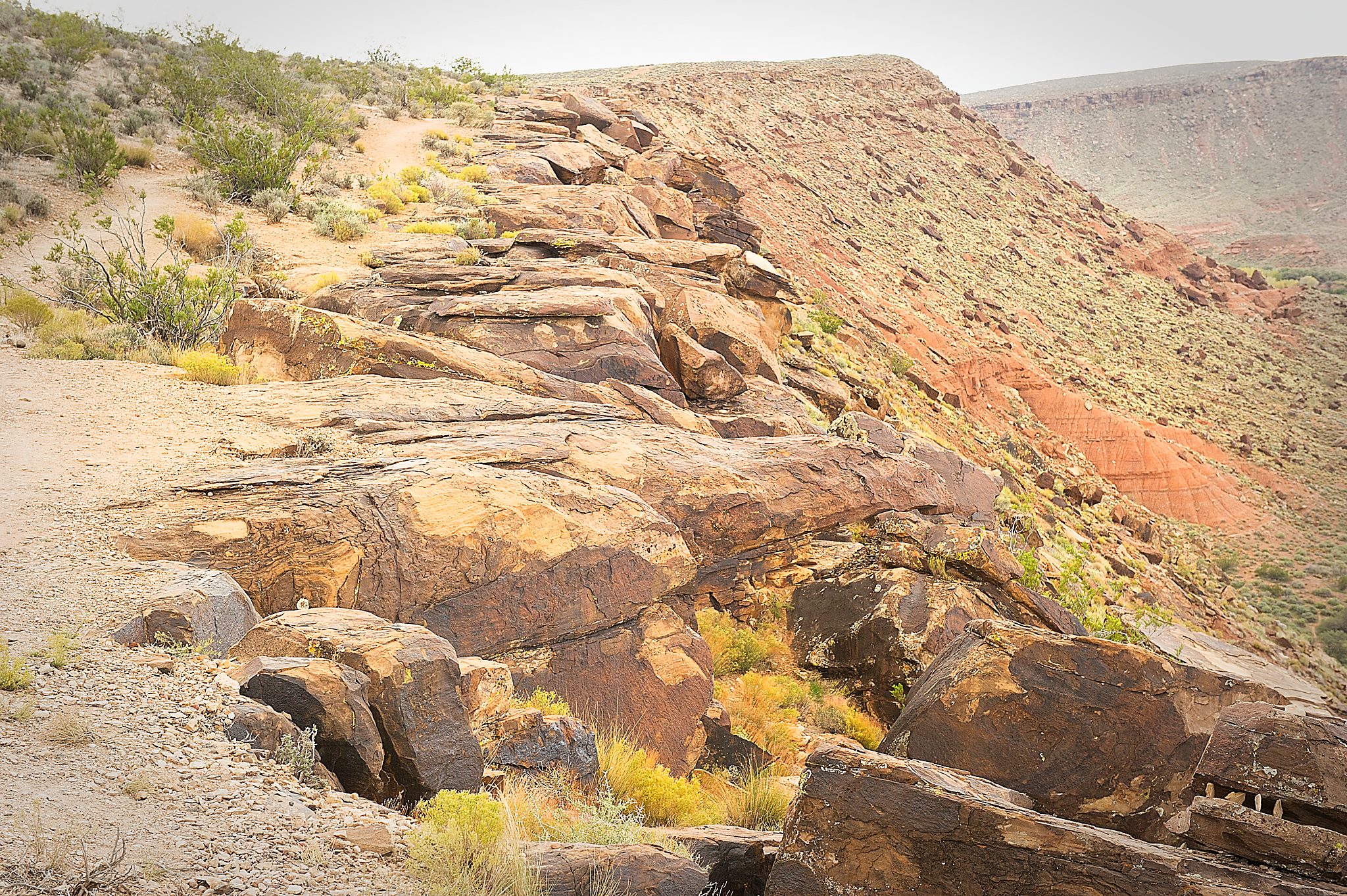 20121022-DSC_1179.jpg