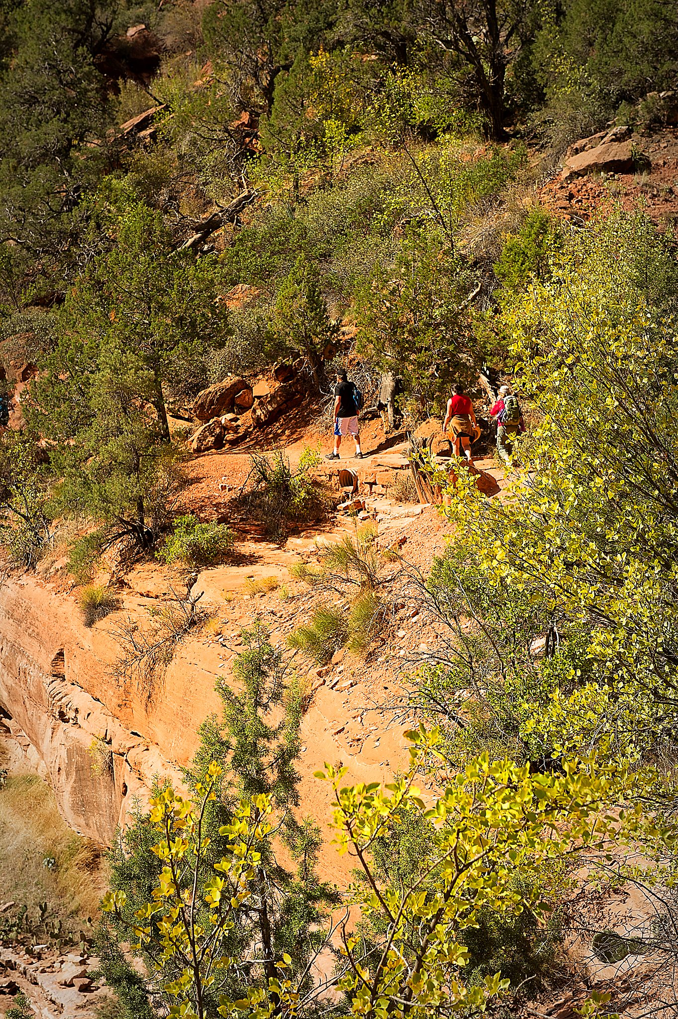 20121023-DSC_1268.jpg