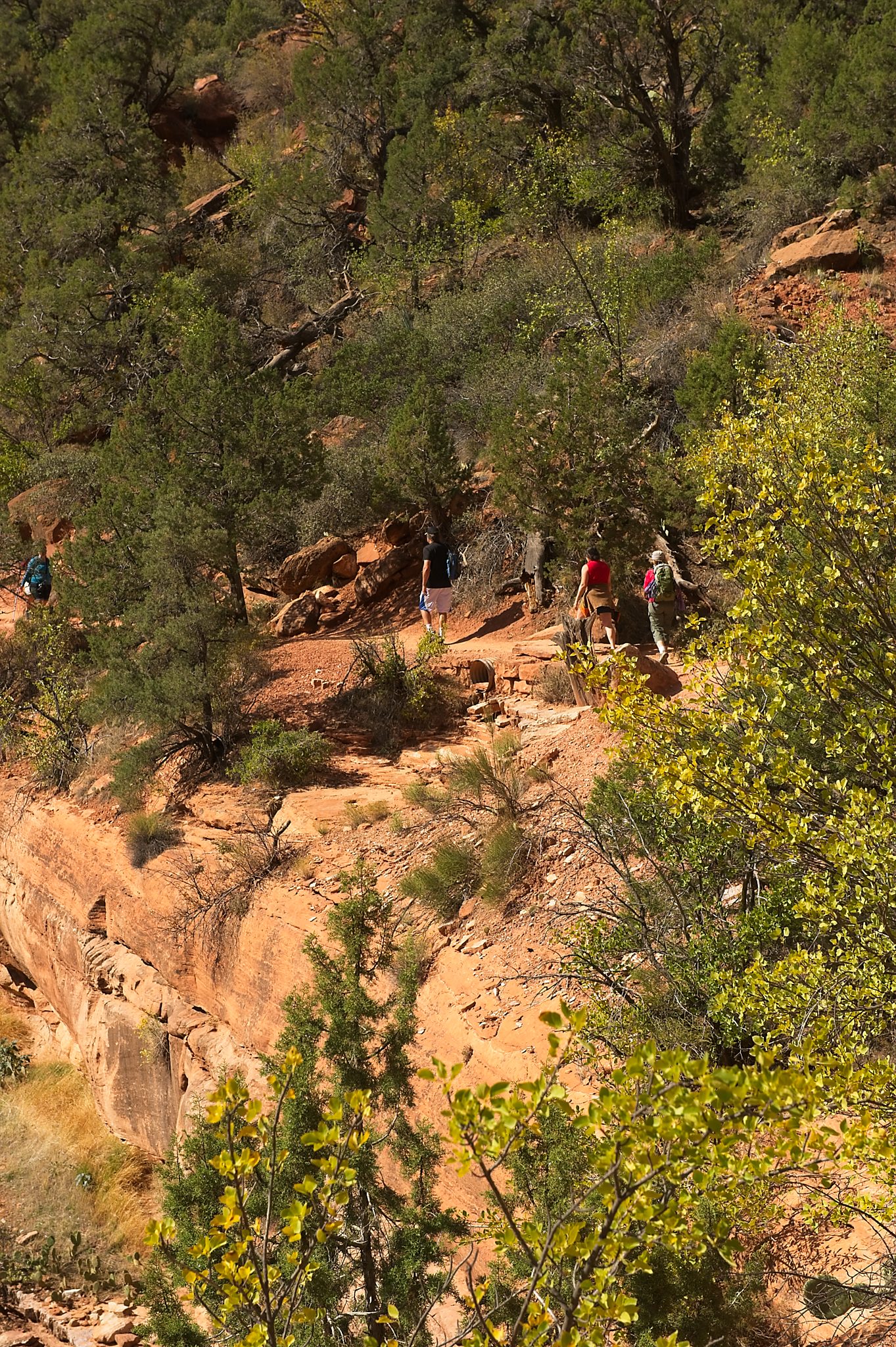 20121023-DSC_1269.jpg