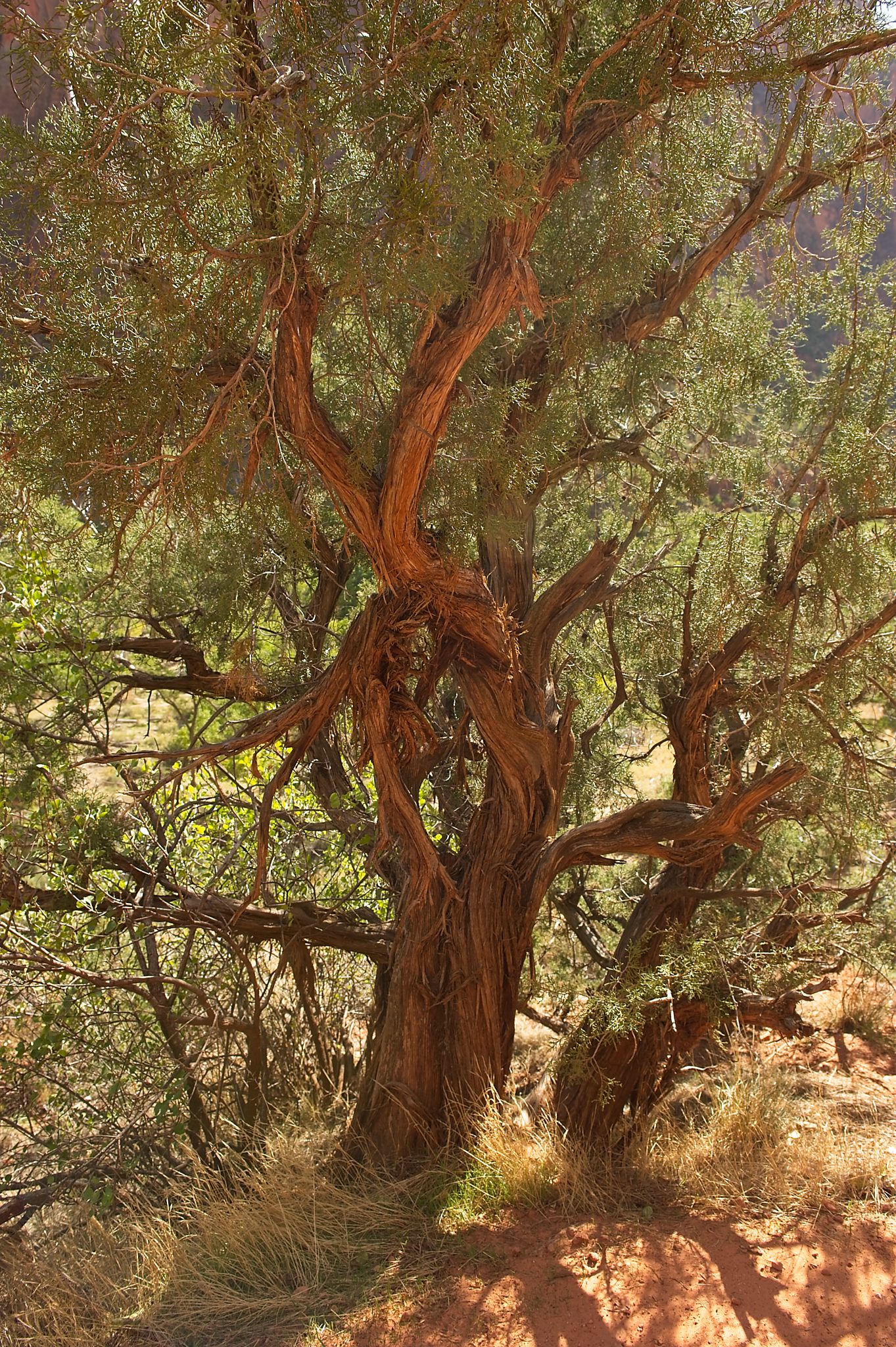 20121023-DSC_1274.jpg