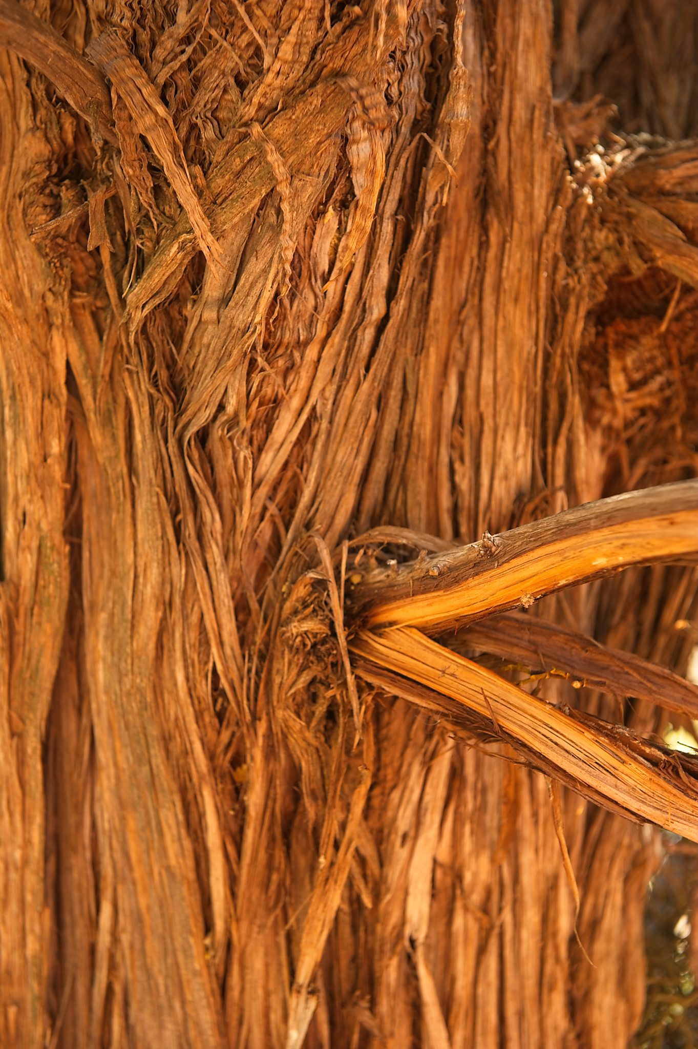 20121023-DSC_1279.jpg