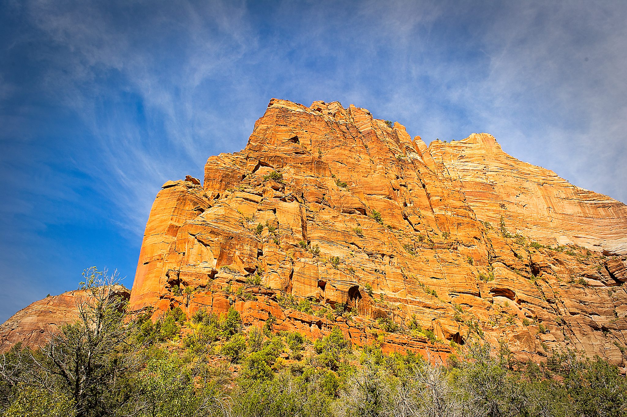 20121023-DSC_1281.jpg