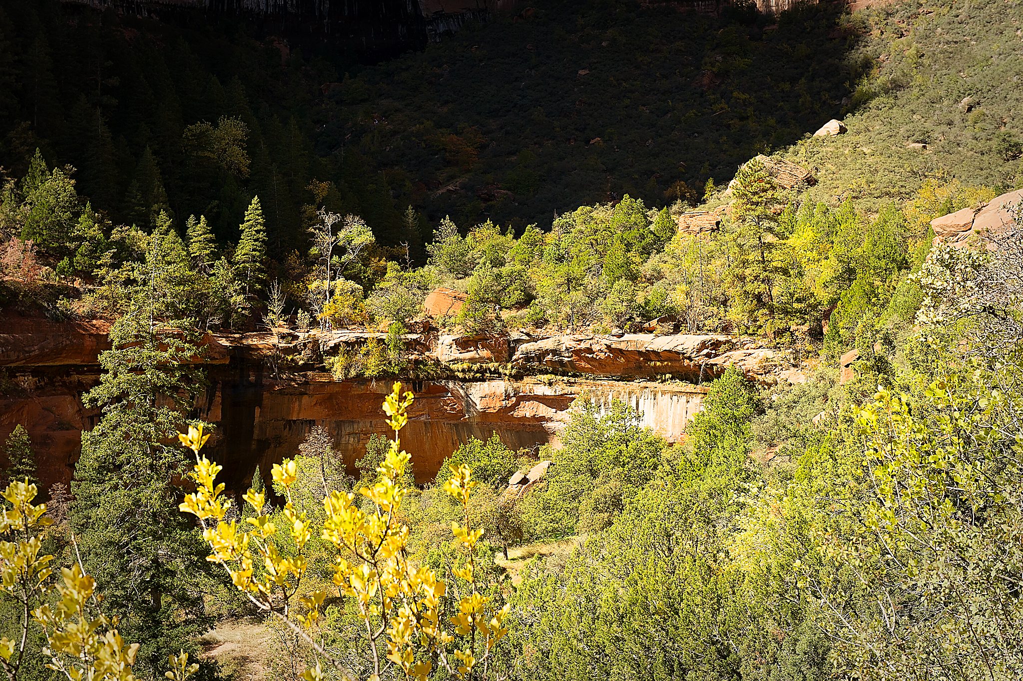 20121023-DSC_1302.jpg