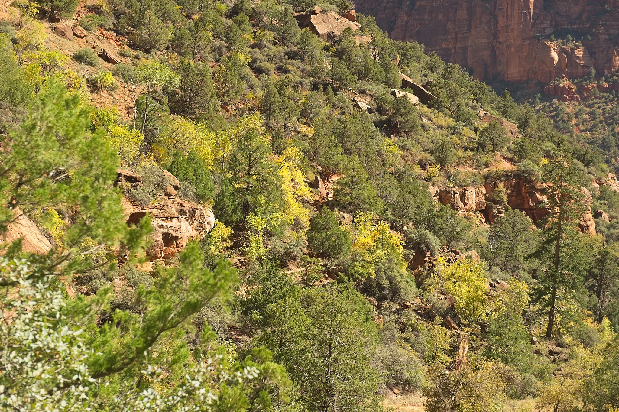 20121023-DSC_1340.jpg