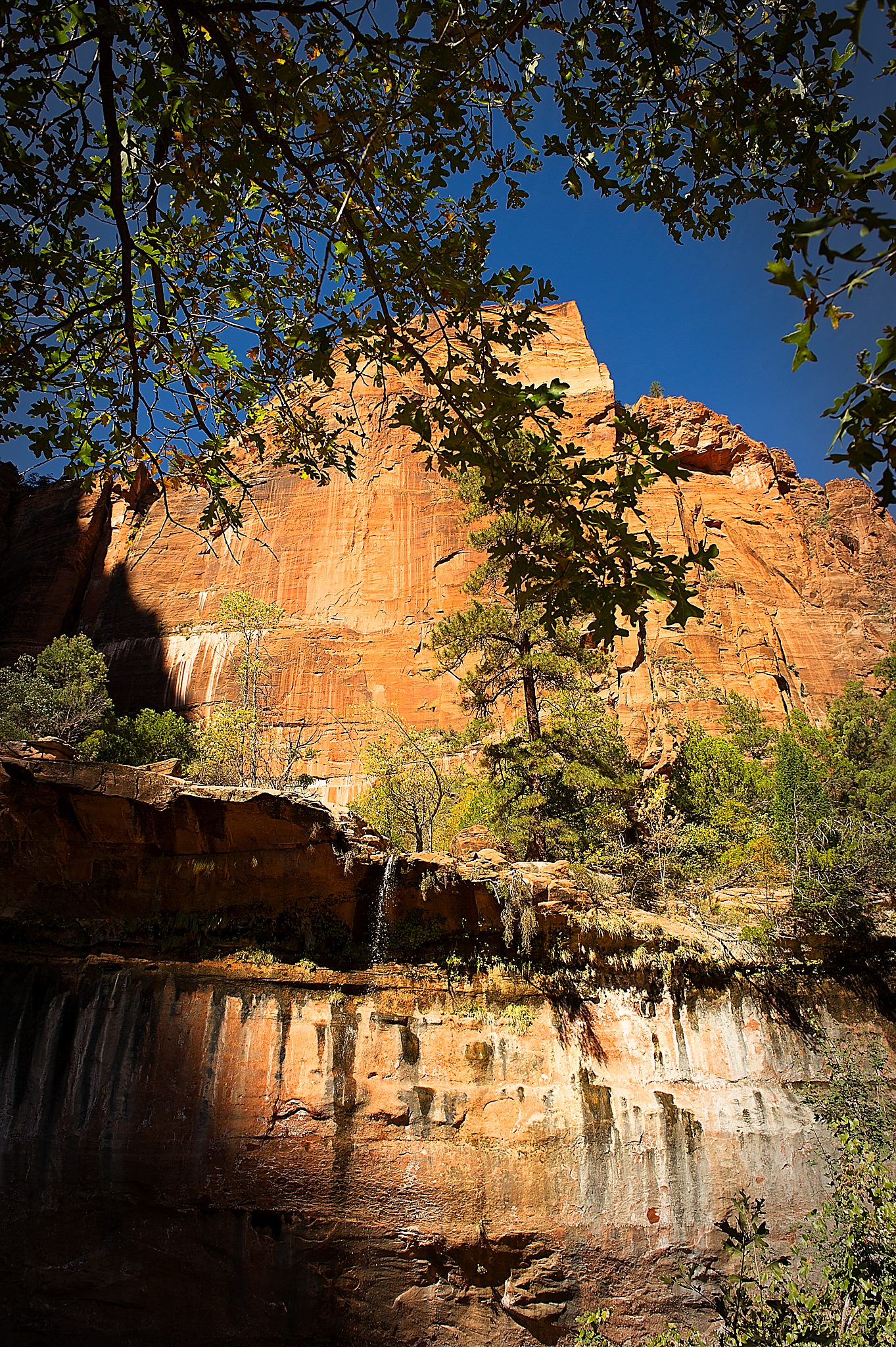 20121023-DSC_1353.jpg