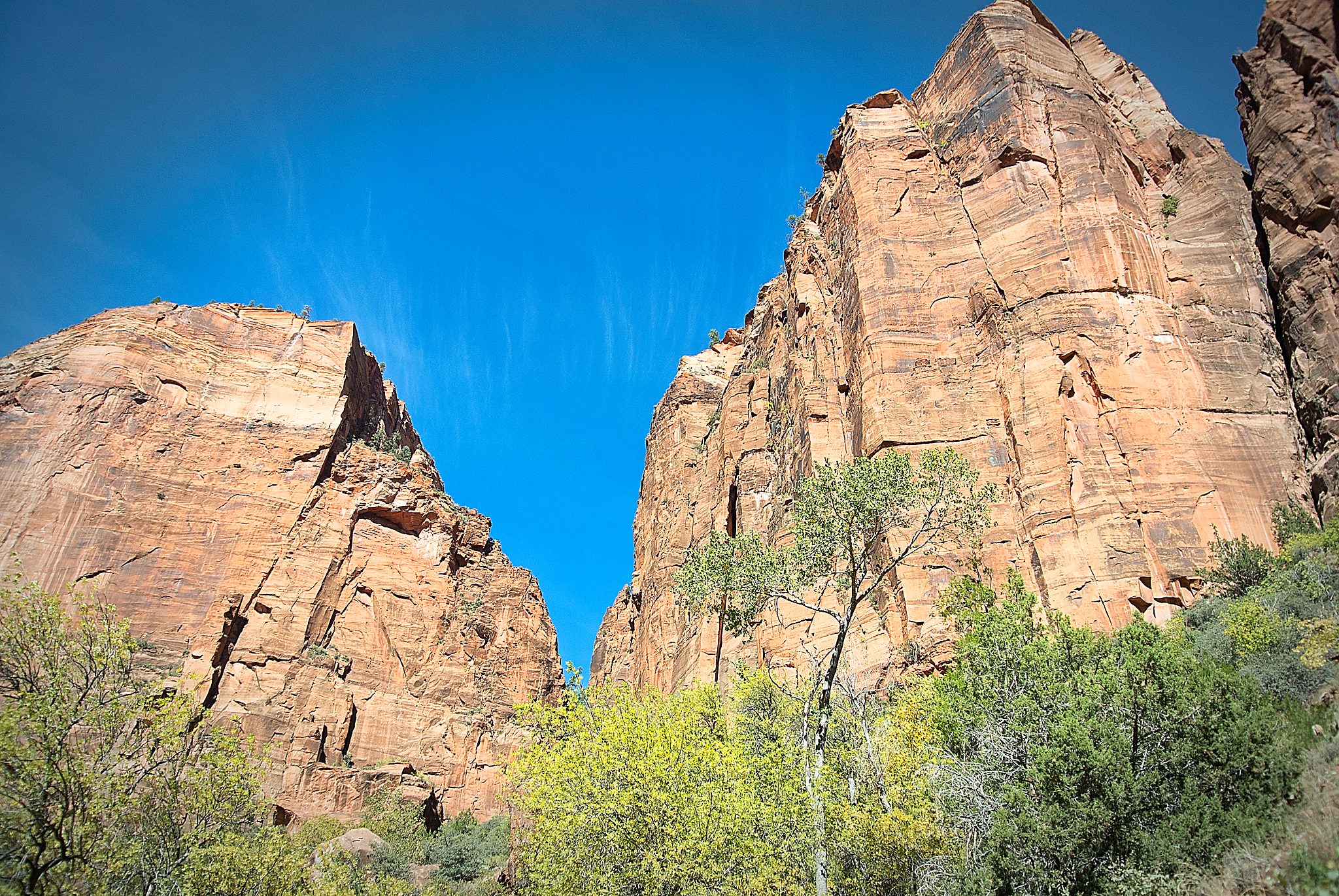 20121023-DSC_3991.jpg