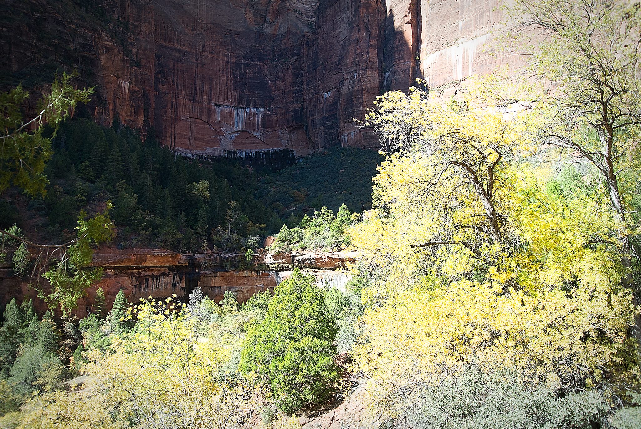 20121023-DSC_3994.jpg