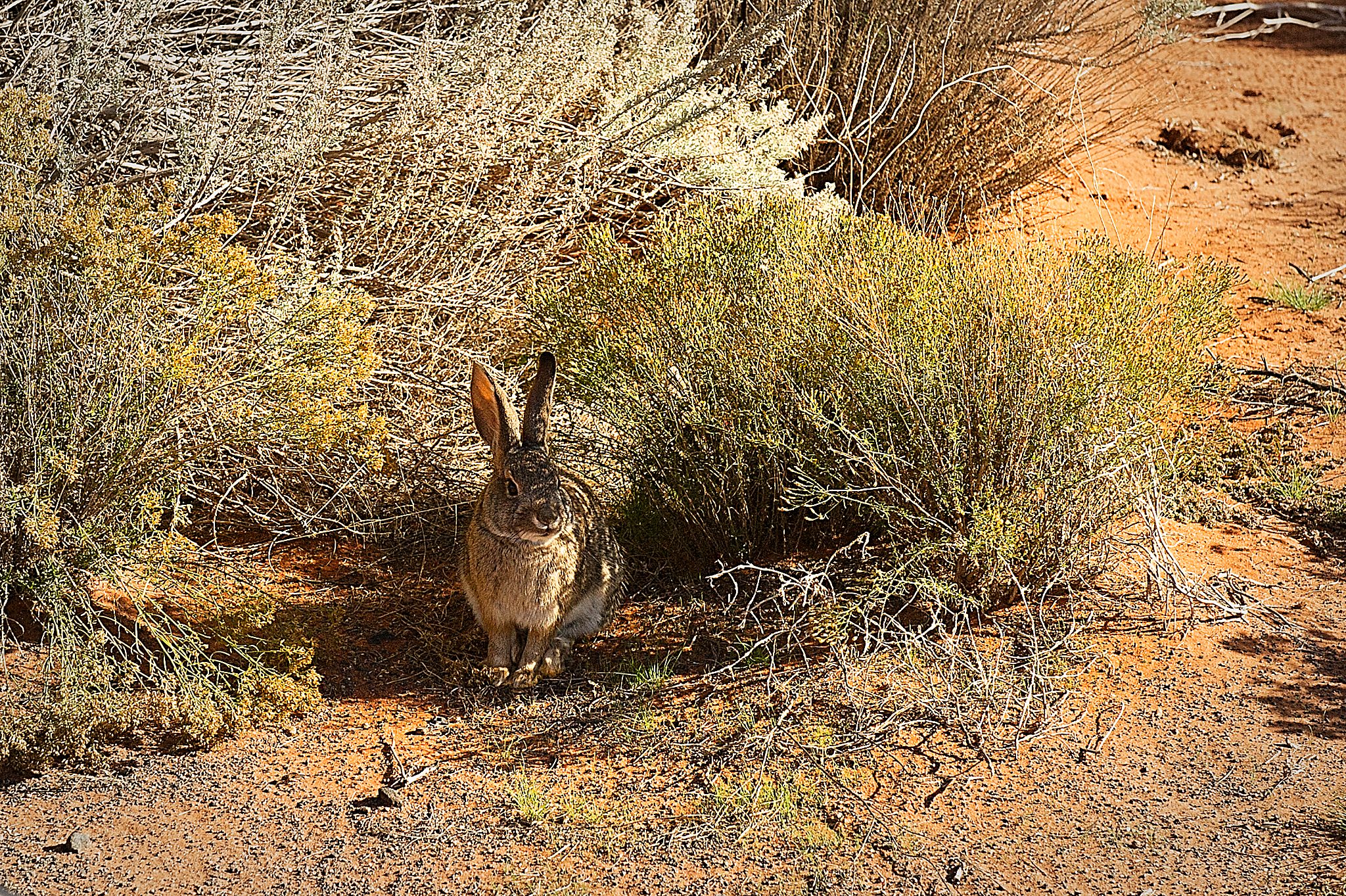 20121024-DSC_1405.jpg