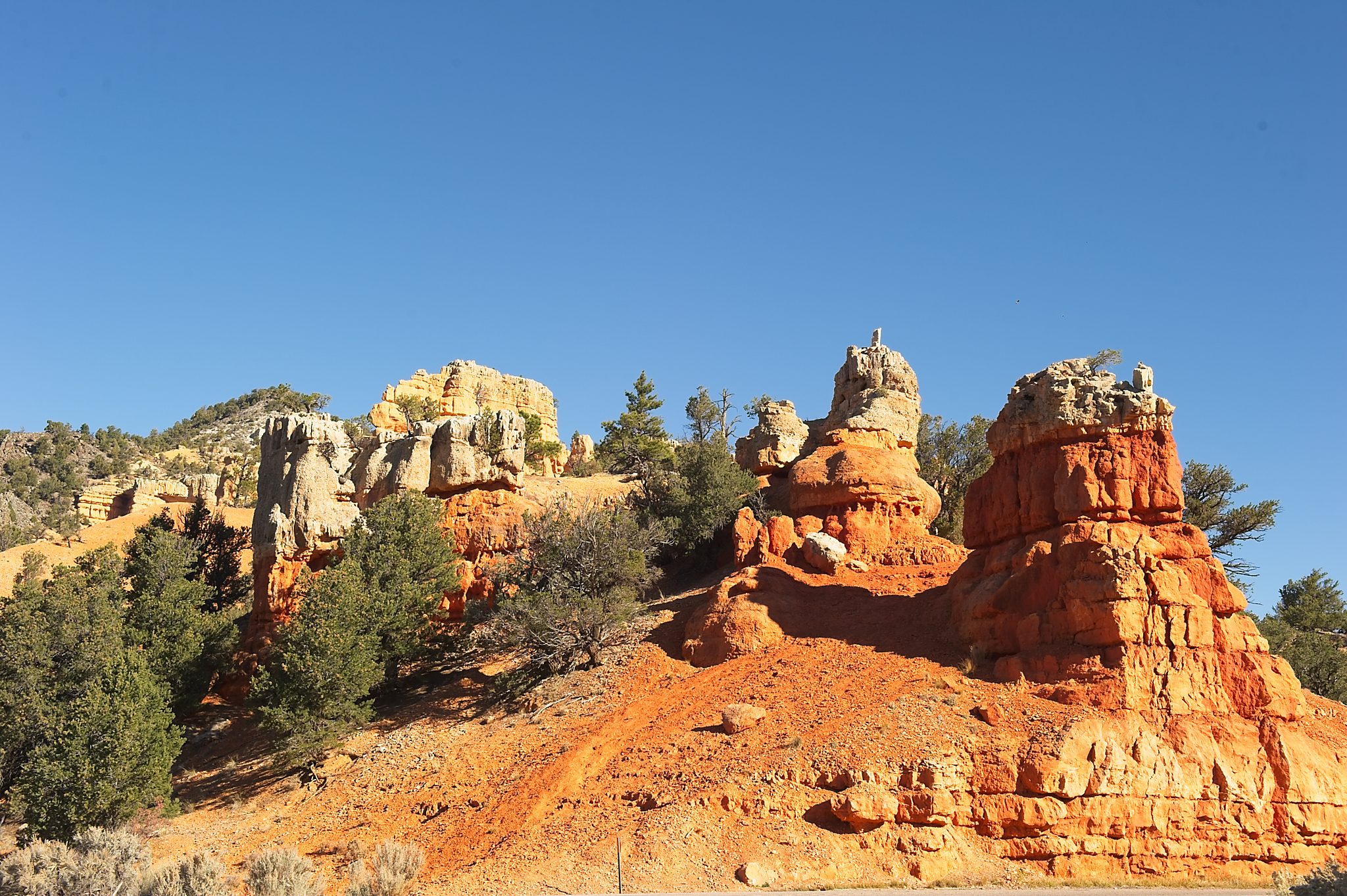 20121025-DSC_1447.jpg