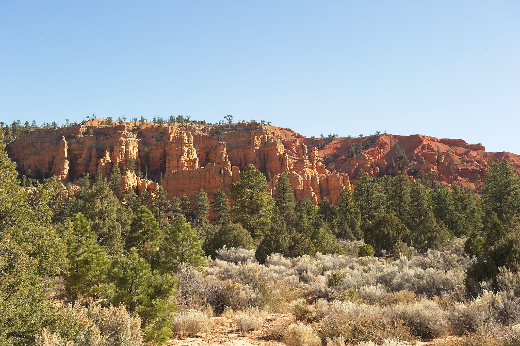 20121025-DSC_1461.jpg