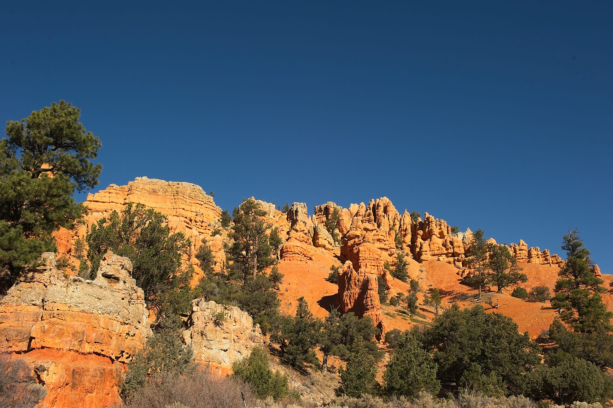 20121025-DSC_1465.jpg