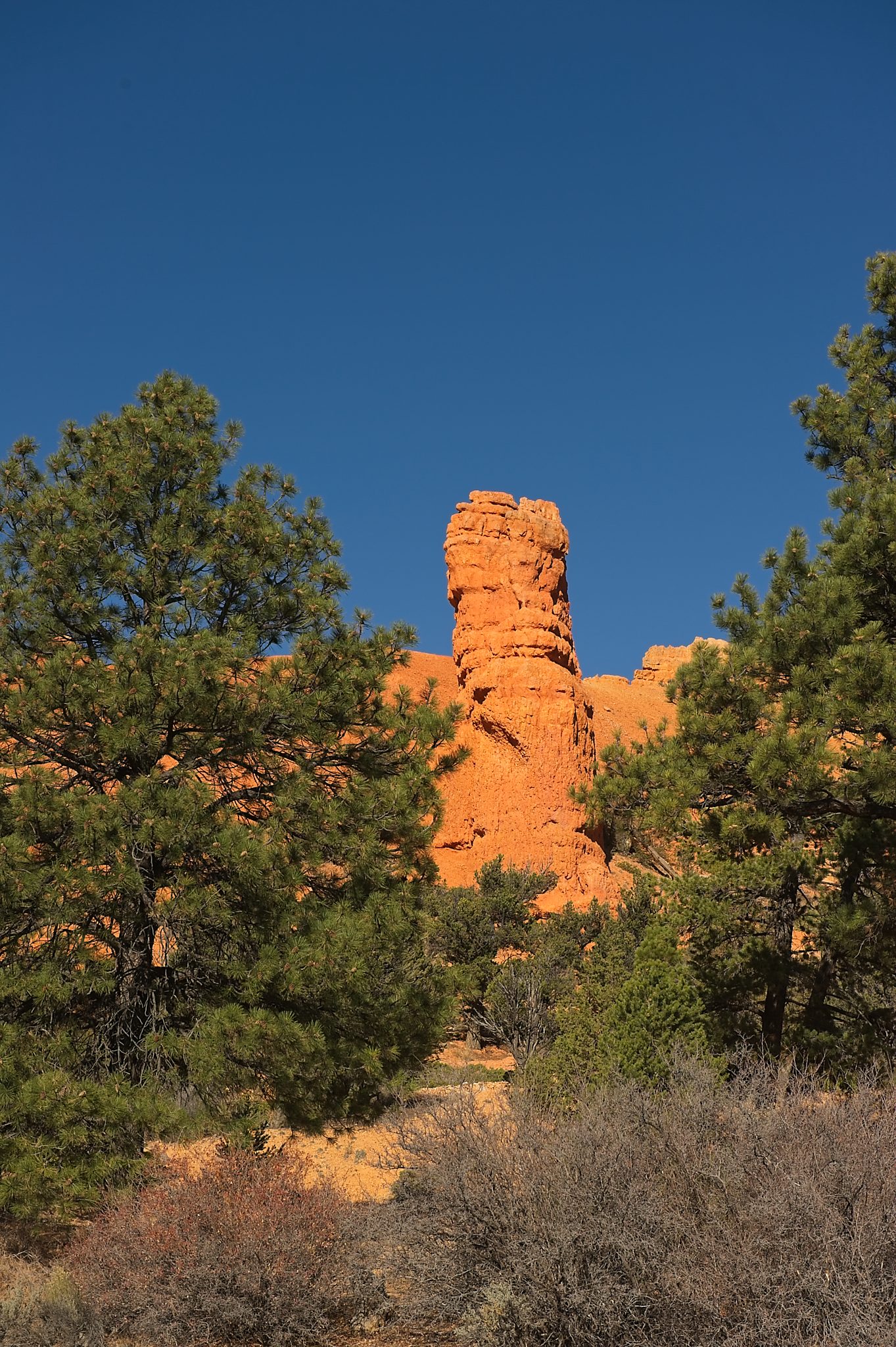 20121025-DSC_1468.jpg