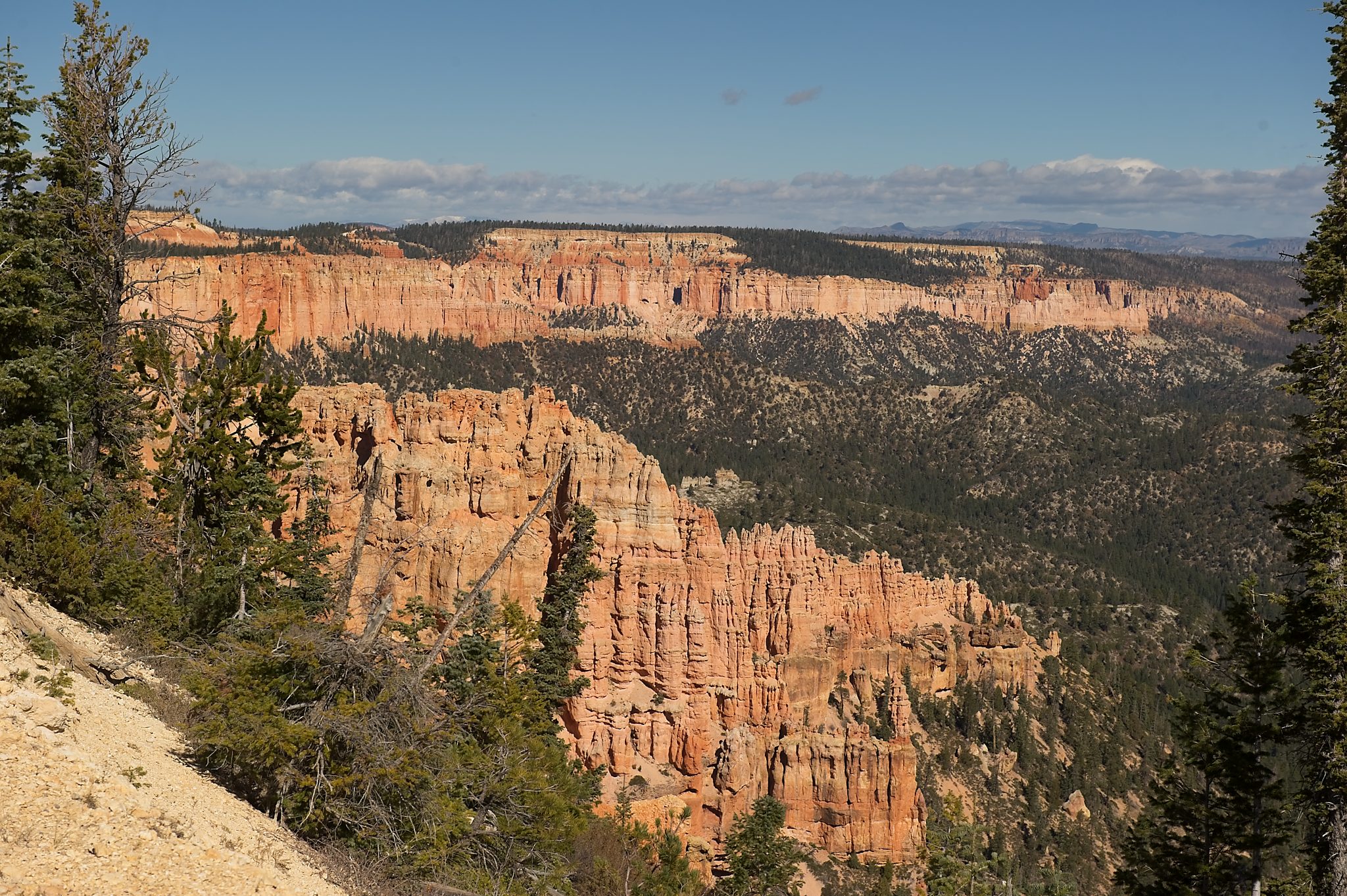 20121025-DSC_1490.jpg