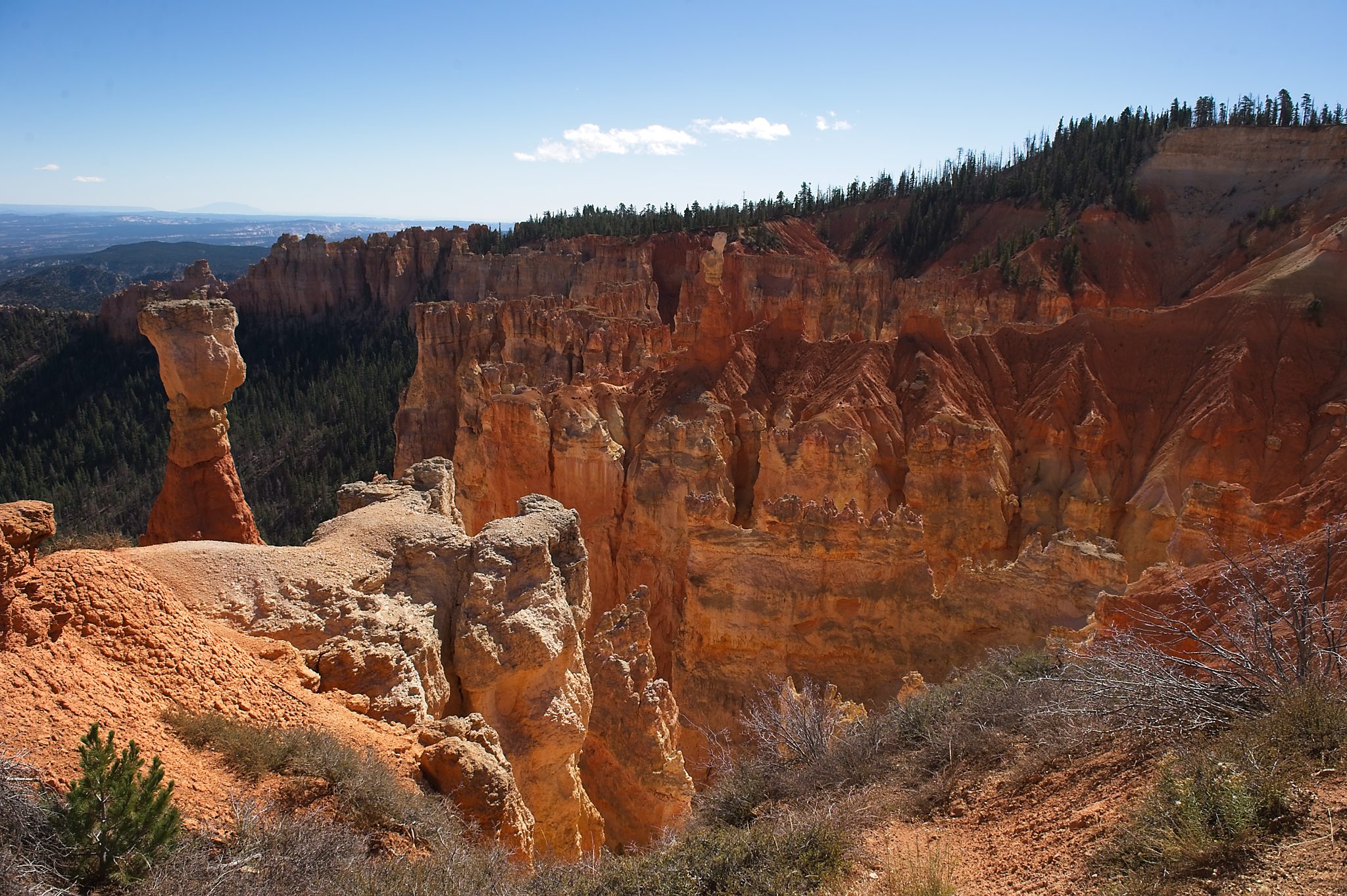 20121025-DSC_1555.jpg