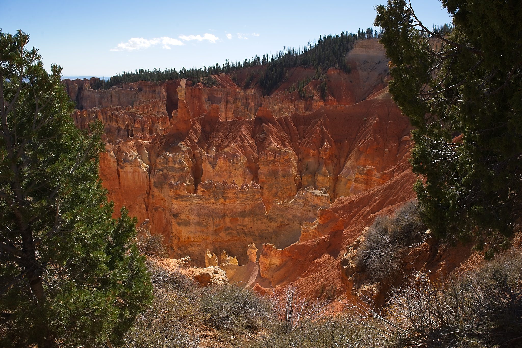 20121025-DSC_1565.jpg