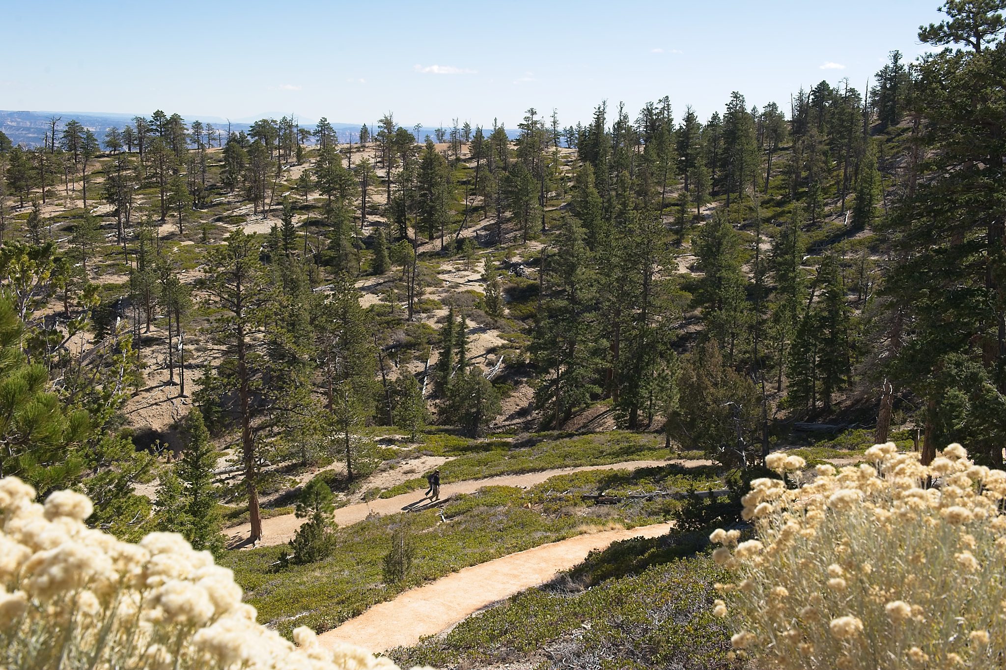 20121025-DSC_1665.jpg