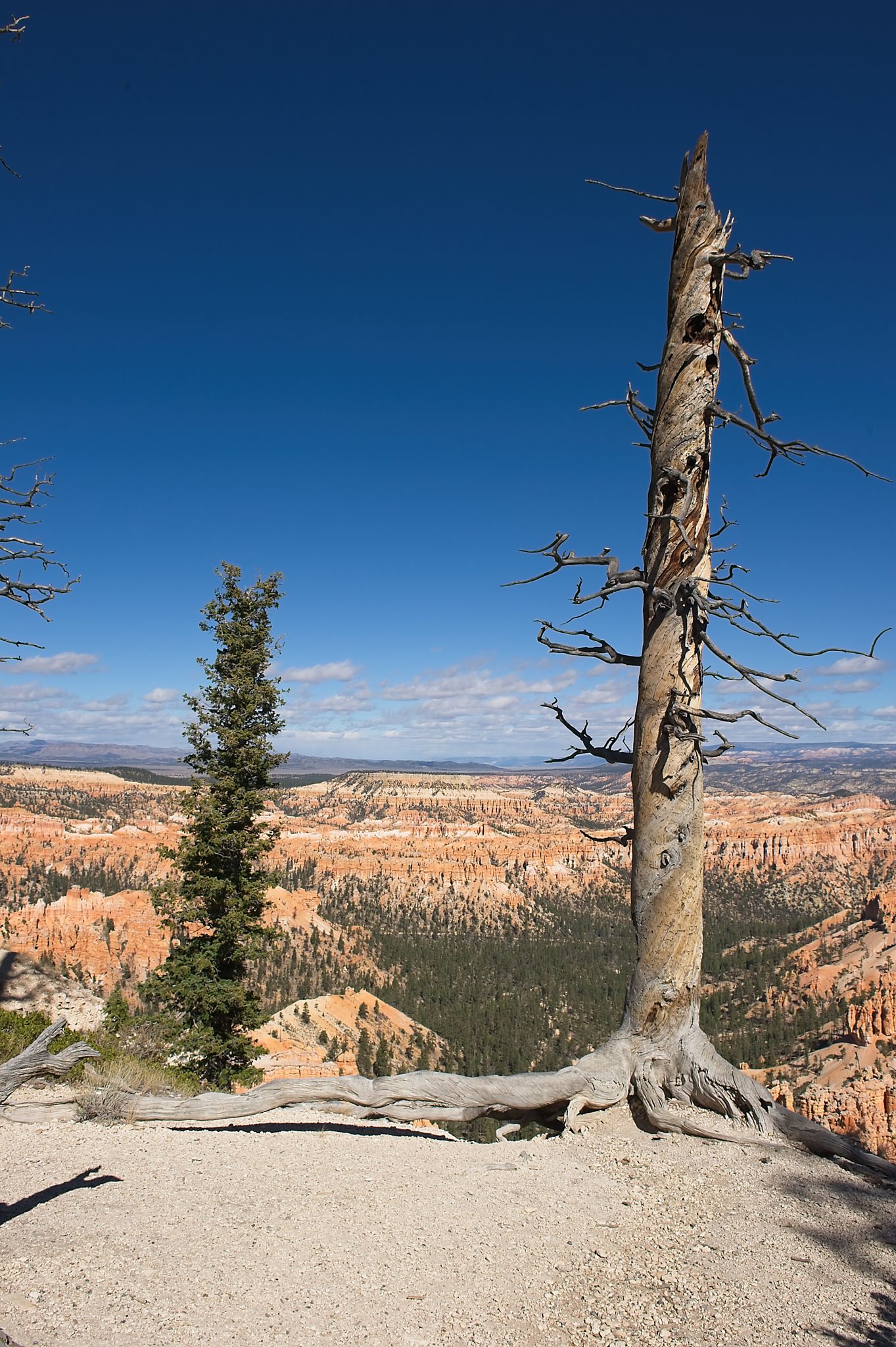 20121025-DSC_1688.jpg