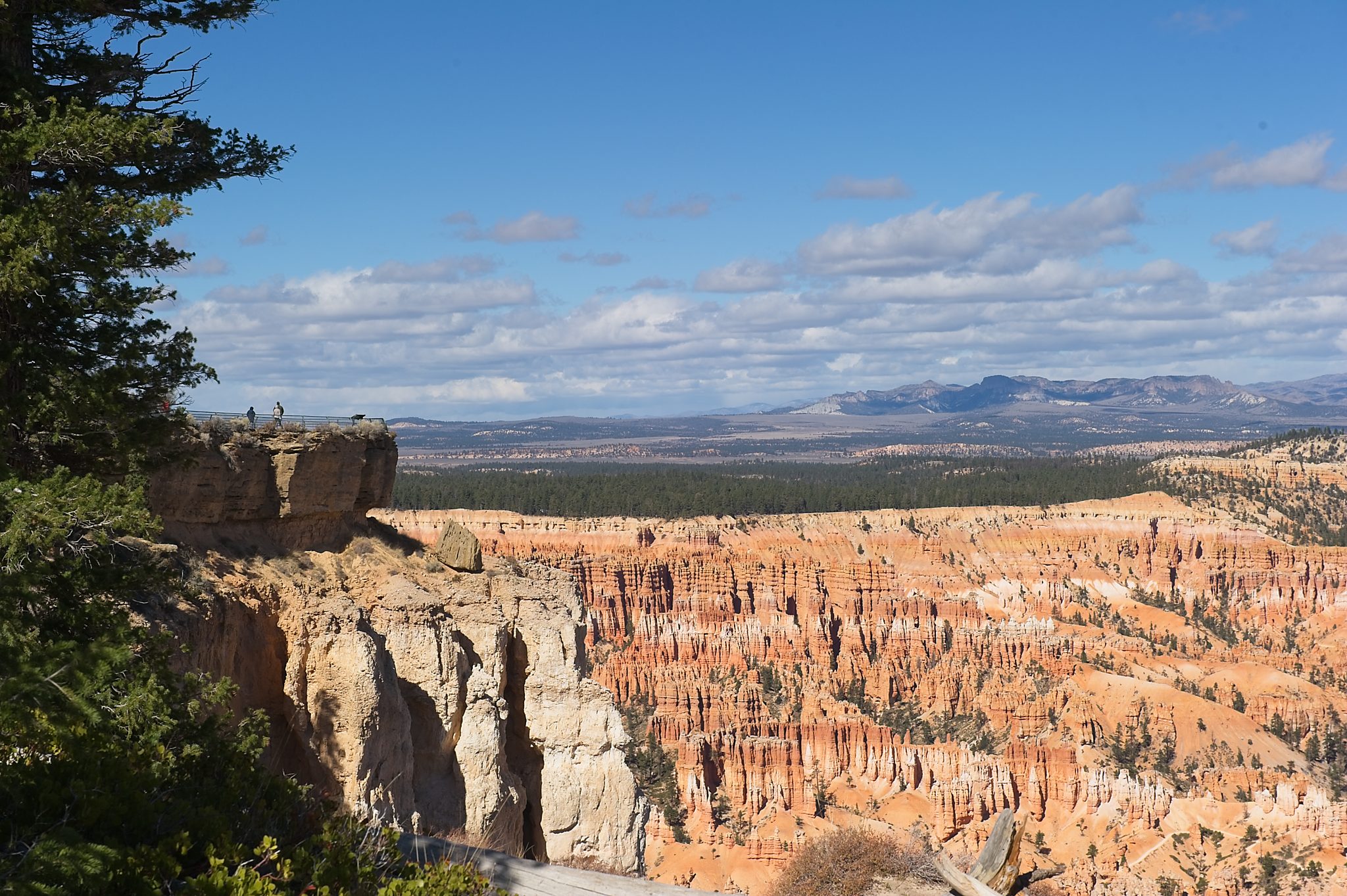 20121025-DSC_1696.jpg