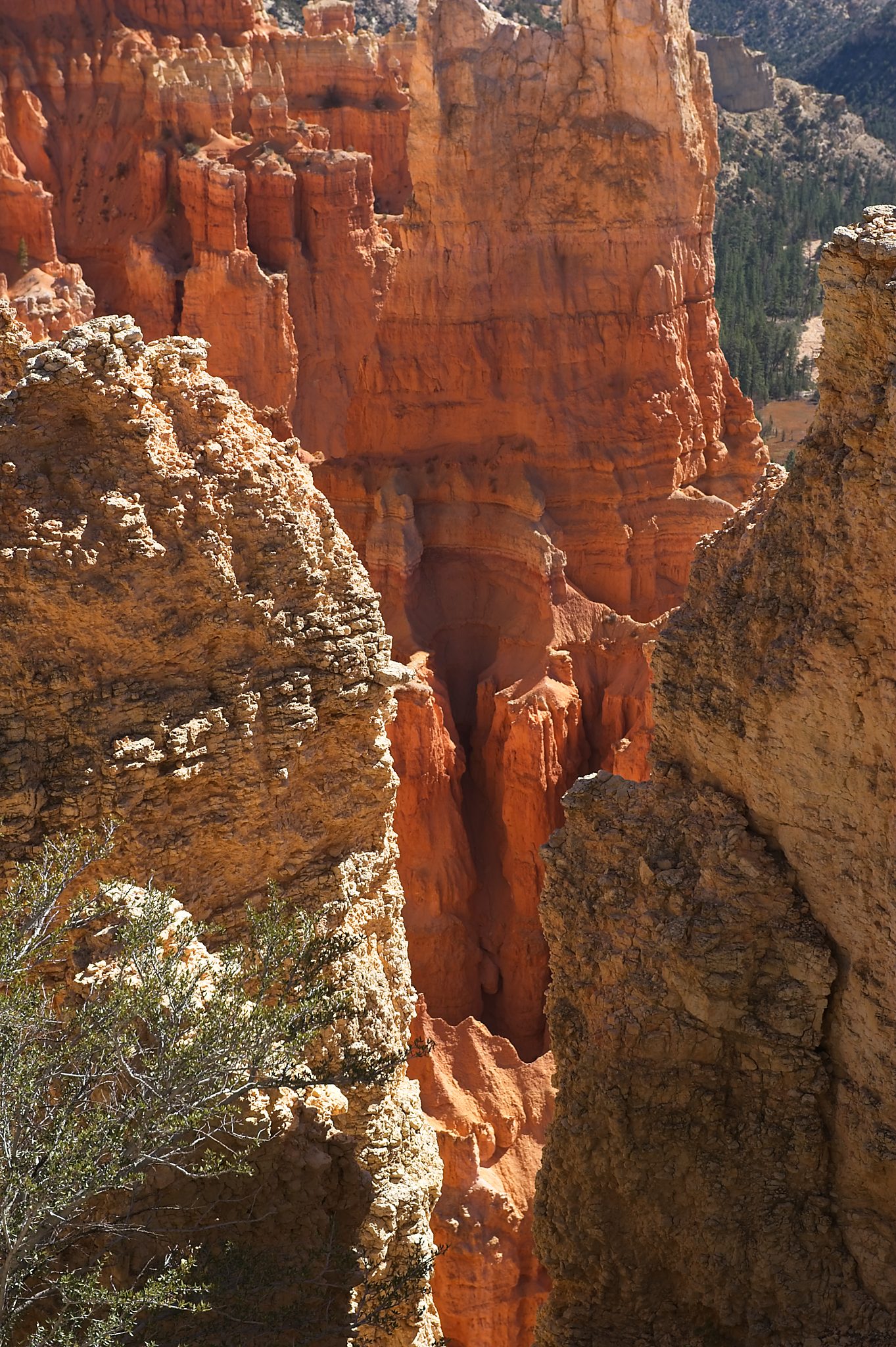 20121025-DSC_1718.jpg