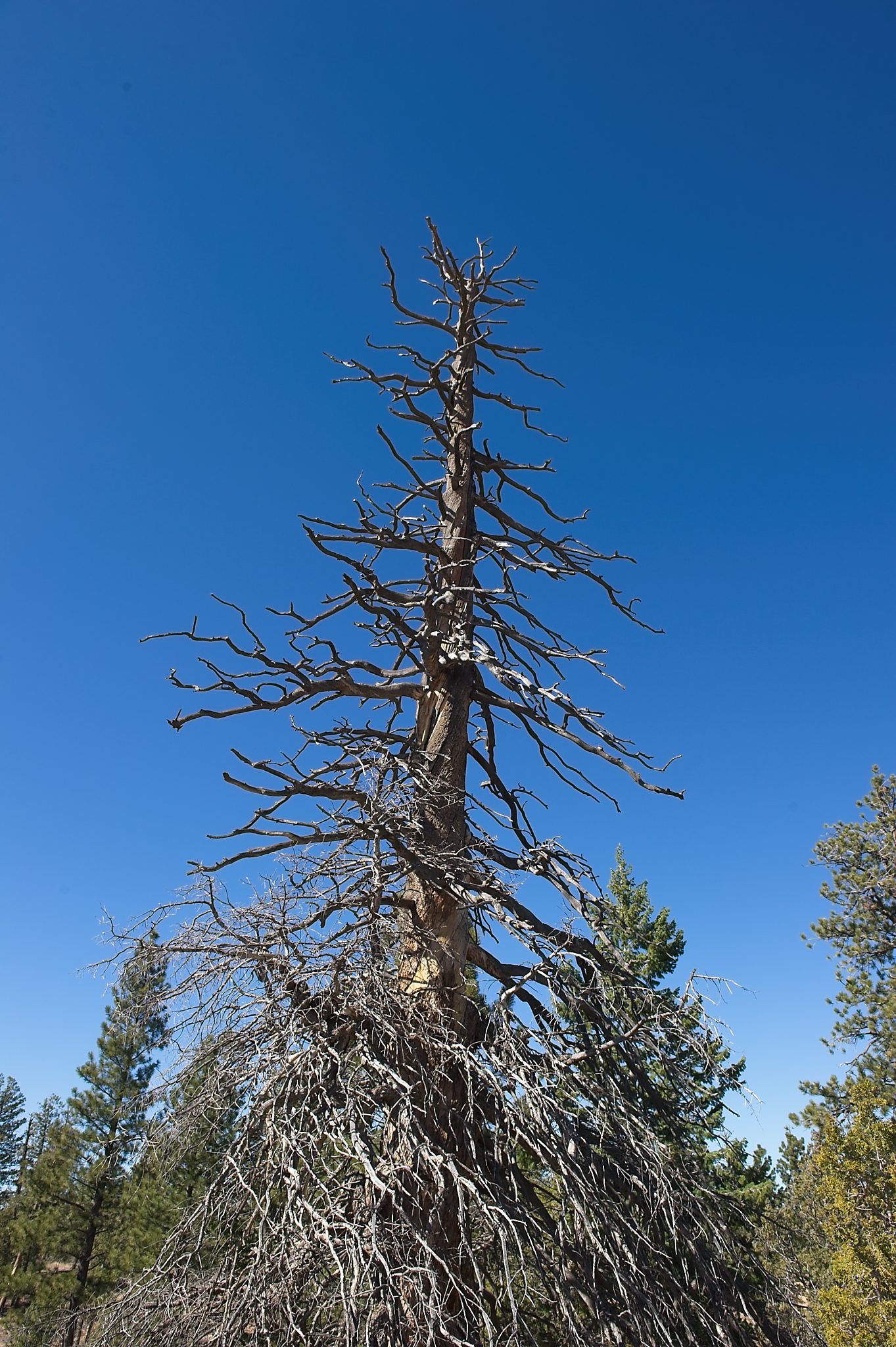 20121025-DSC_1722.jpg