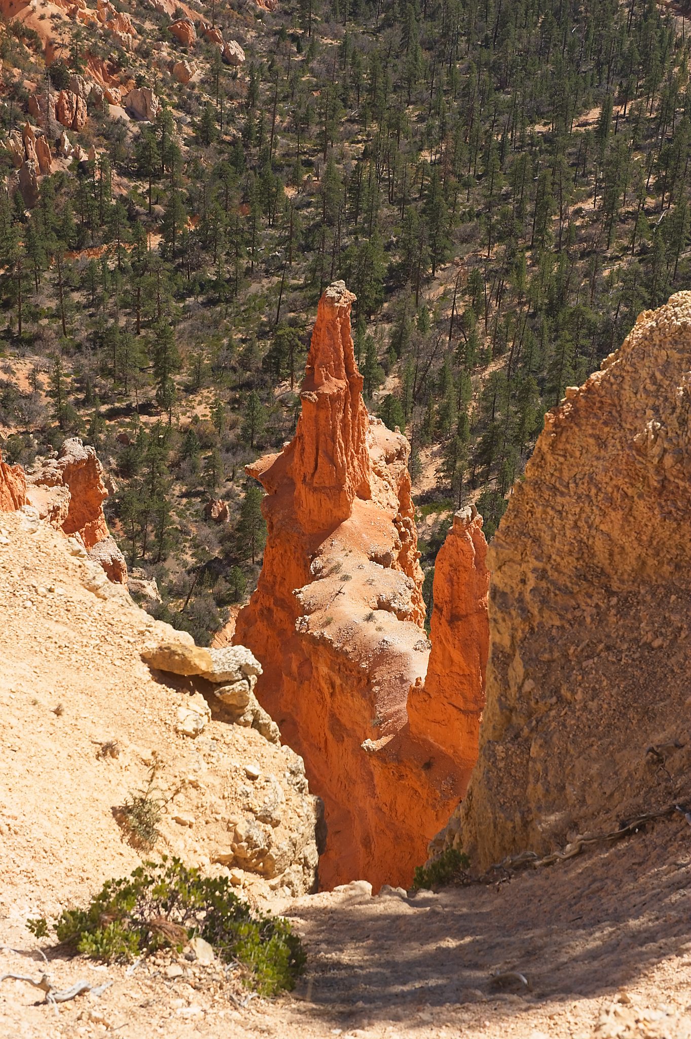 20121025-DSC_1725.jpg