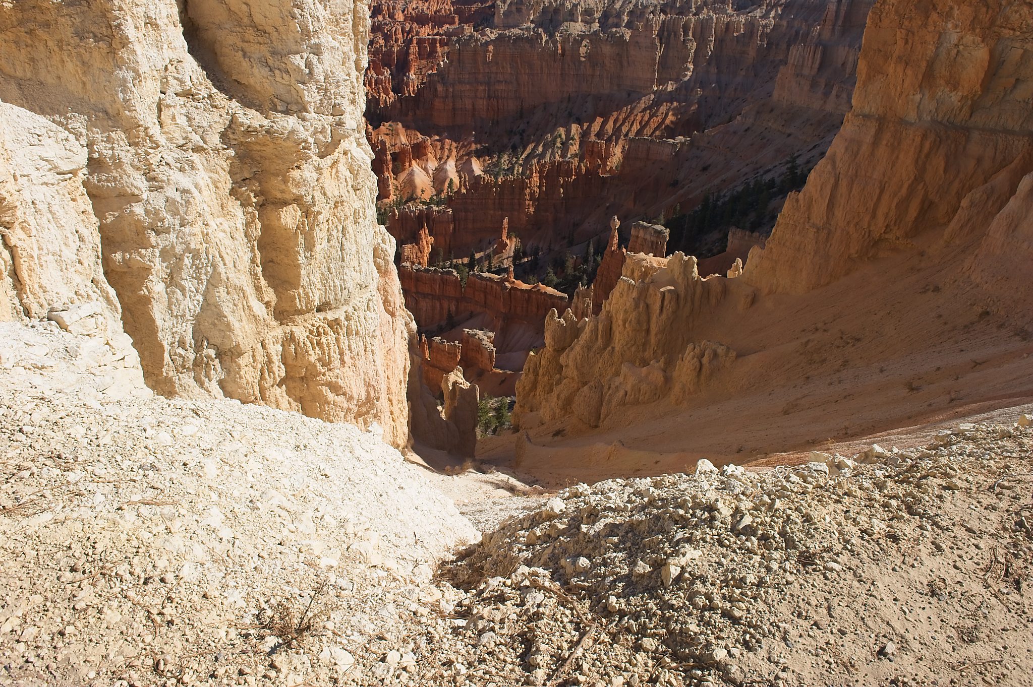 20121025-DSC_1772.jpg
