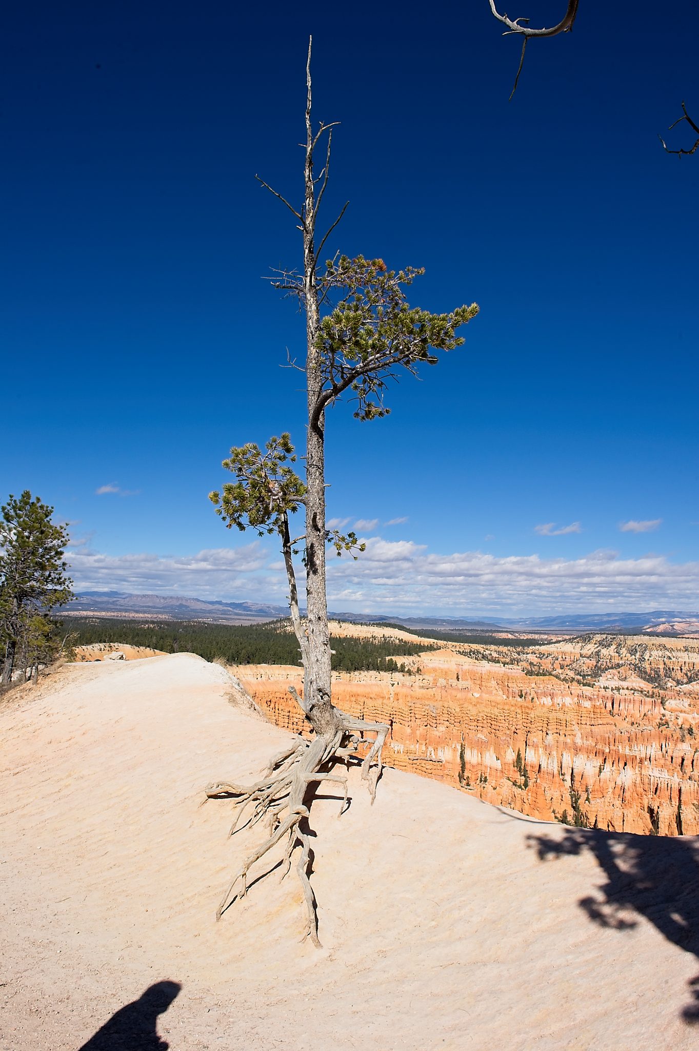20121025-DSC_1774.jpg