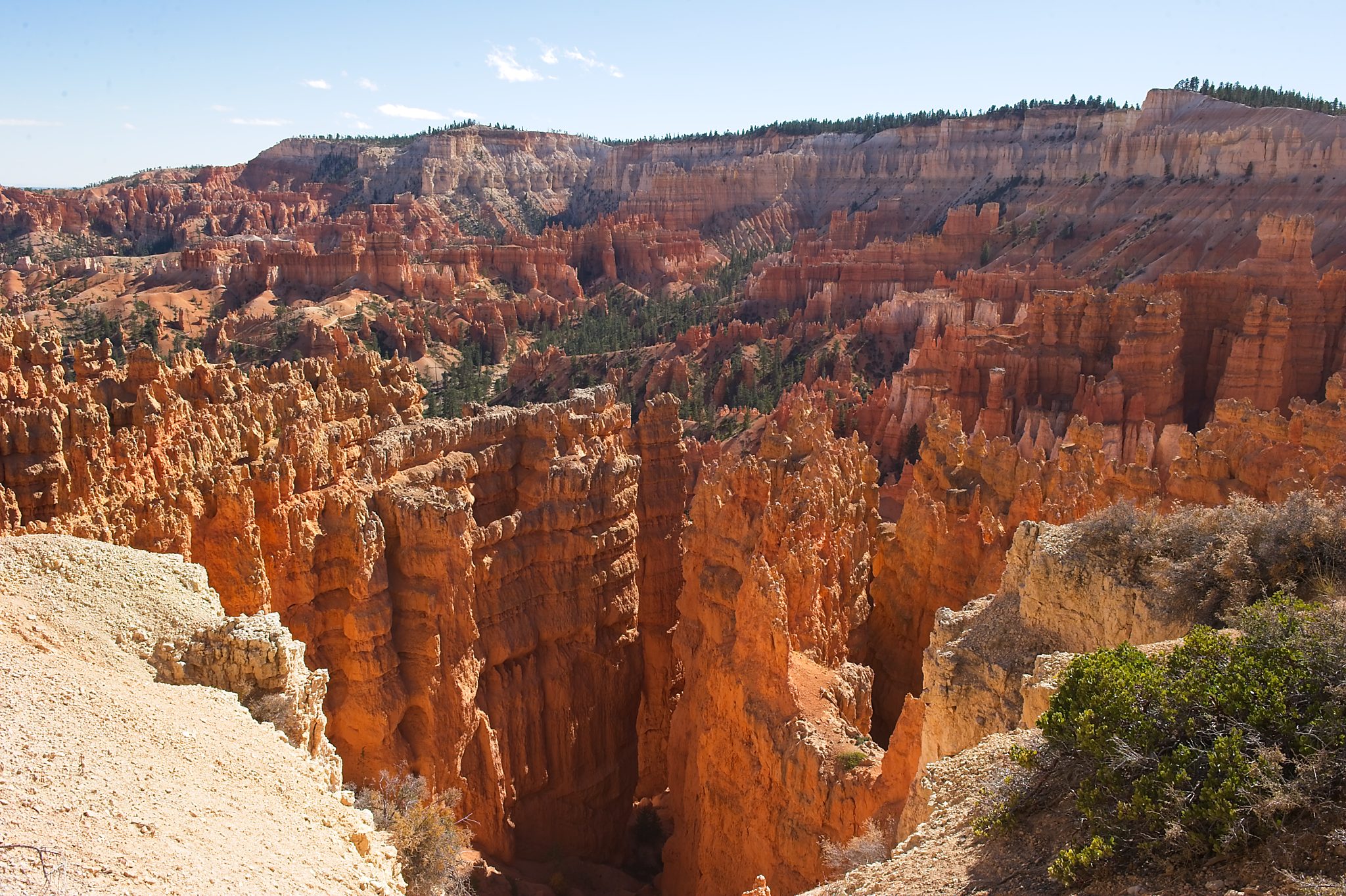 20121025-DSC_1783.jpg