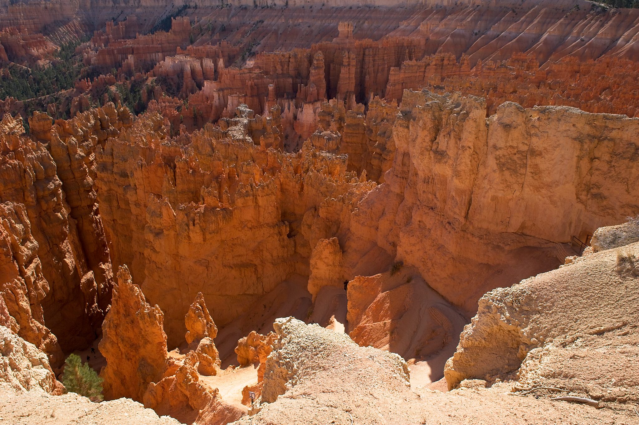 20121025-DSC_1791.jpg