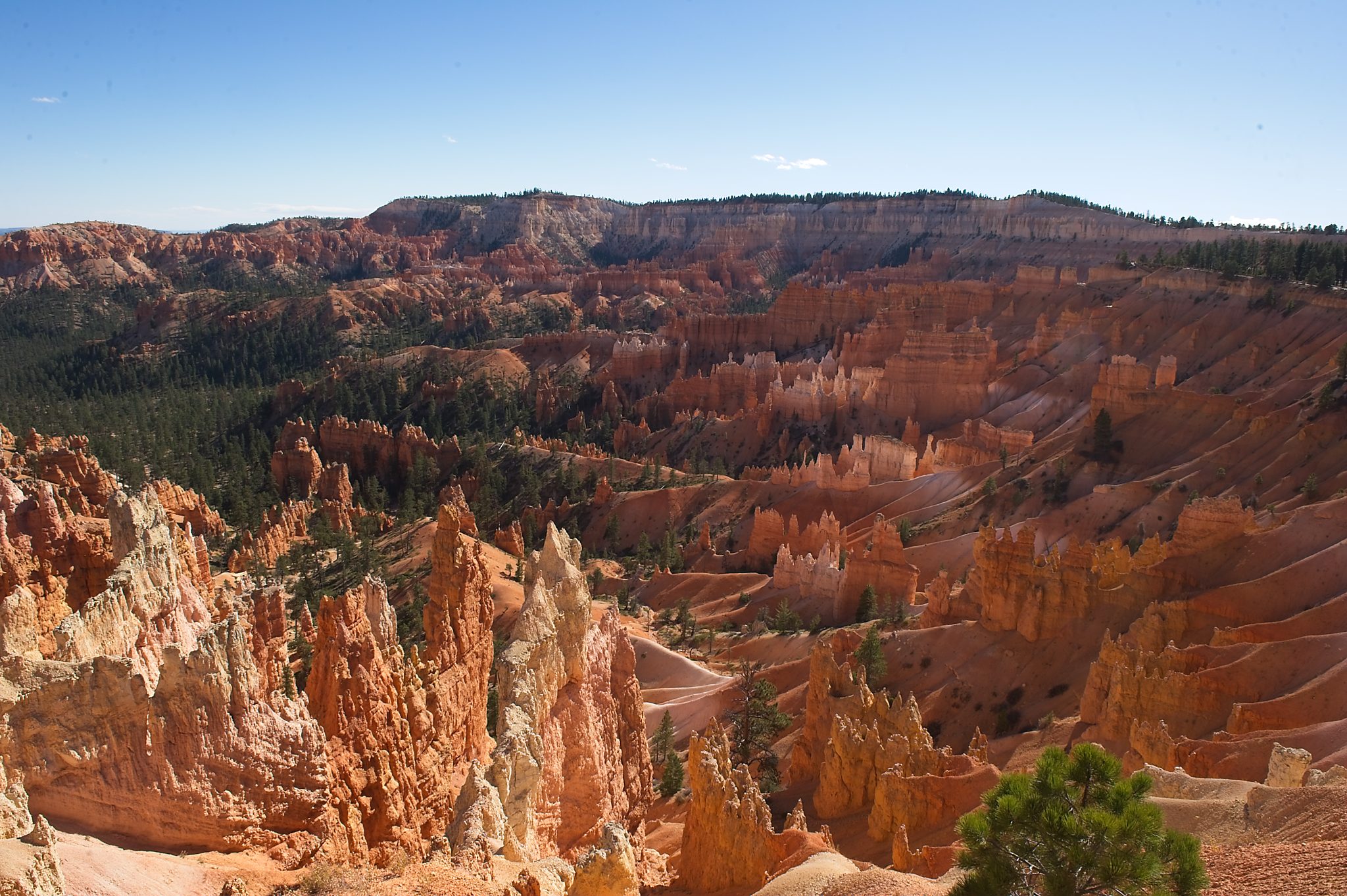 20121025-DSC_1811.jpg