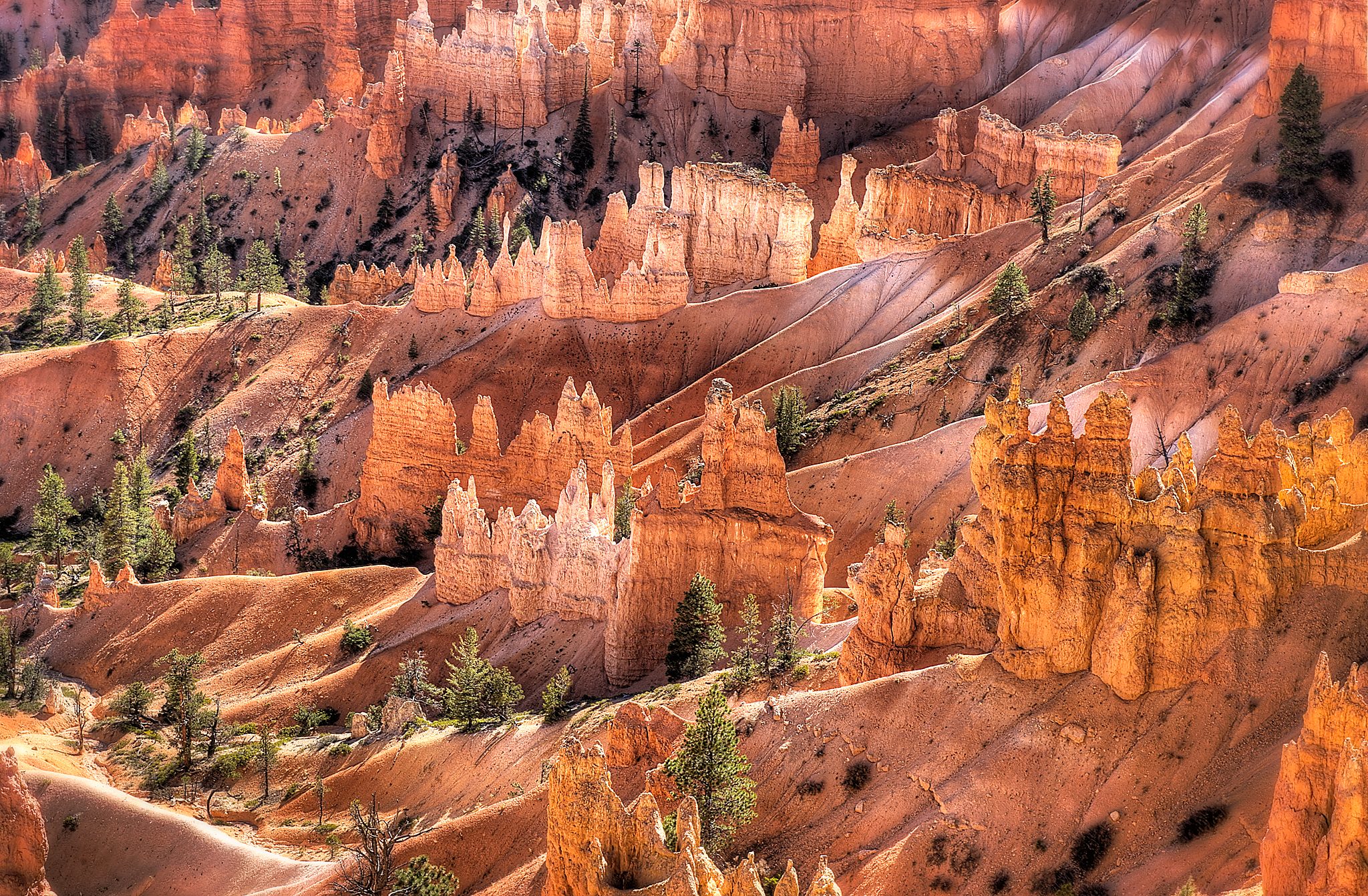 20121025-DSC_1814_5_6_7_8.jpg