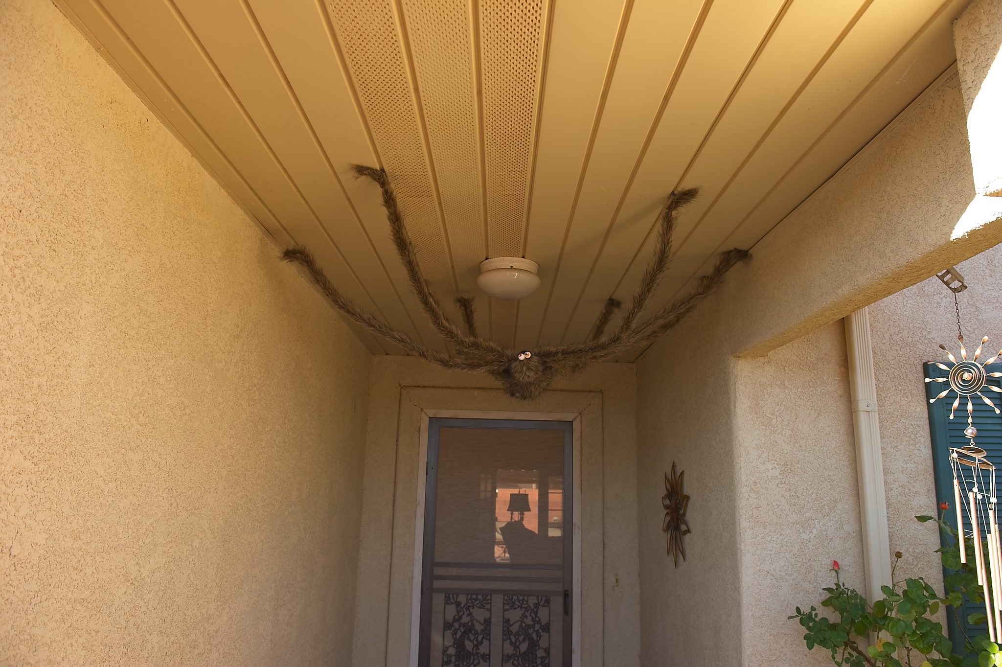 20121028-DSC_1843.jpg