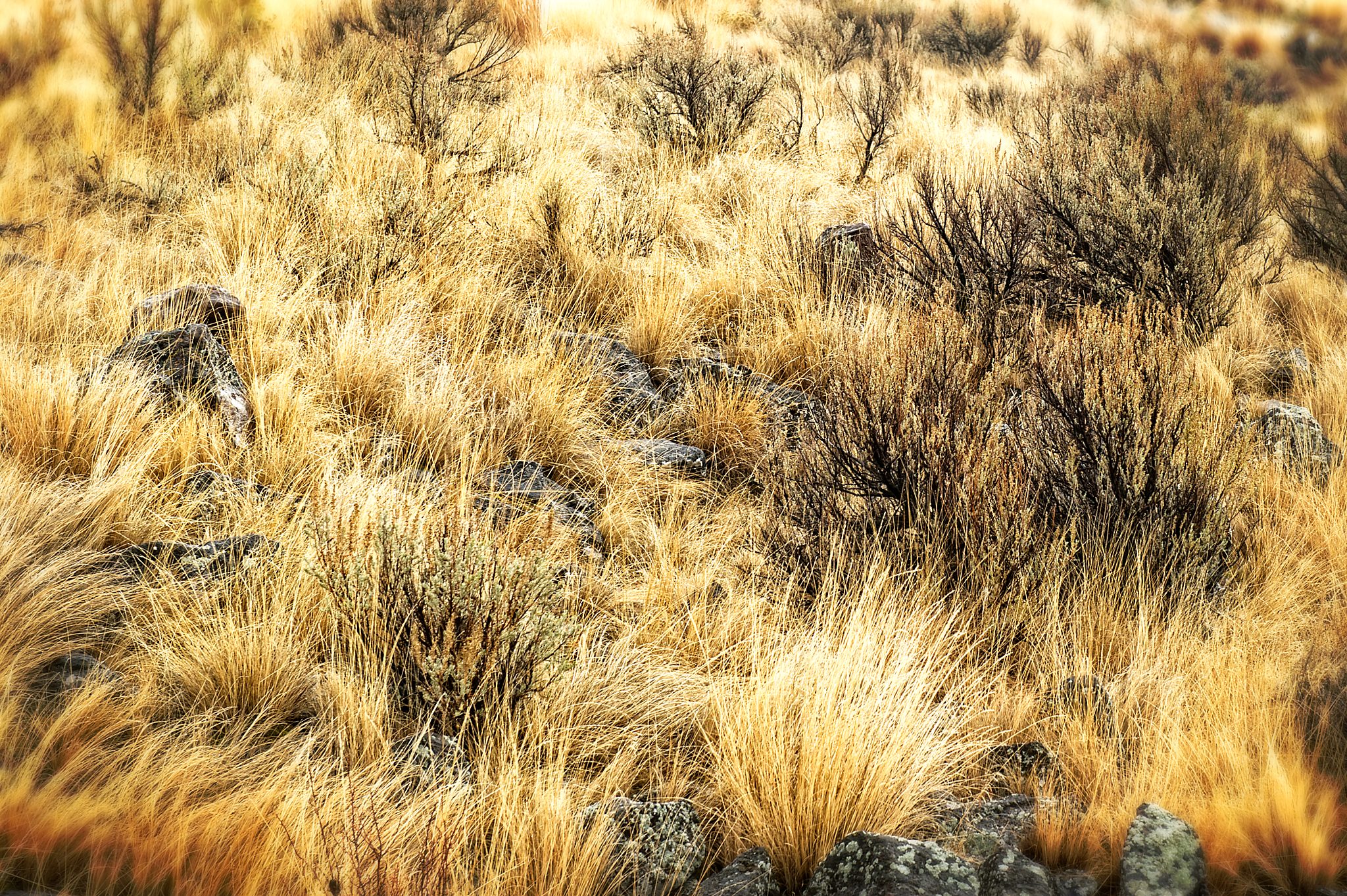 20121029-DSC_1929-Edit.jpg