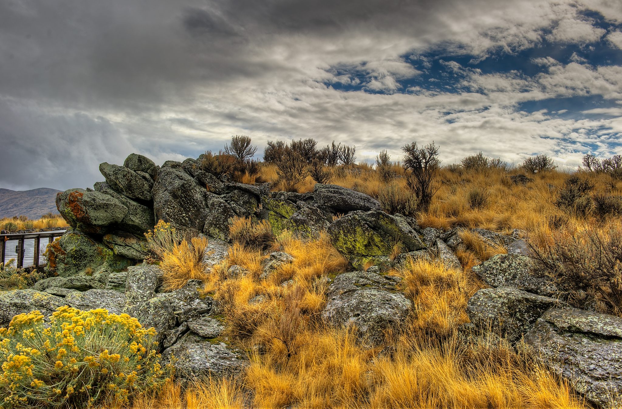 20121029-DSC_1930_1_2_3_4.jpg