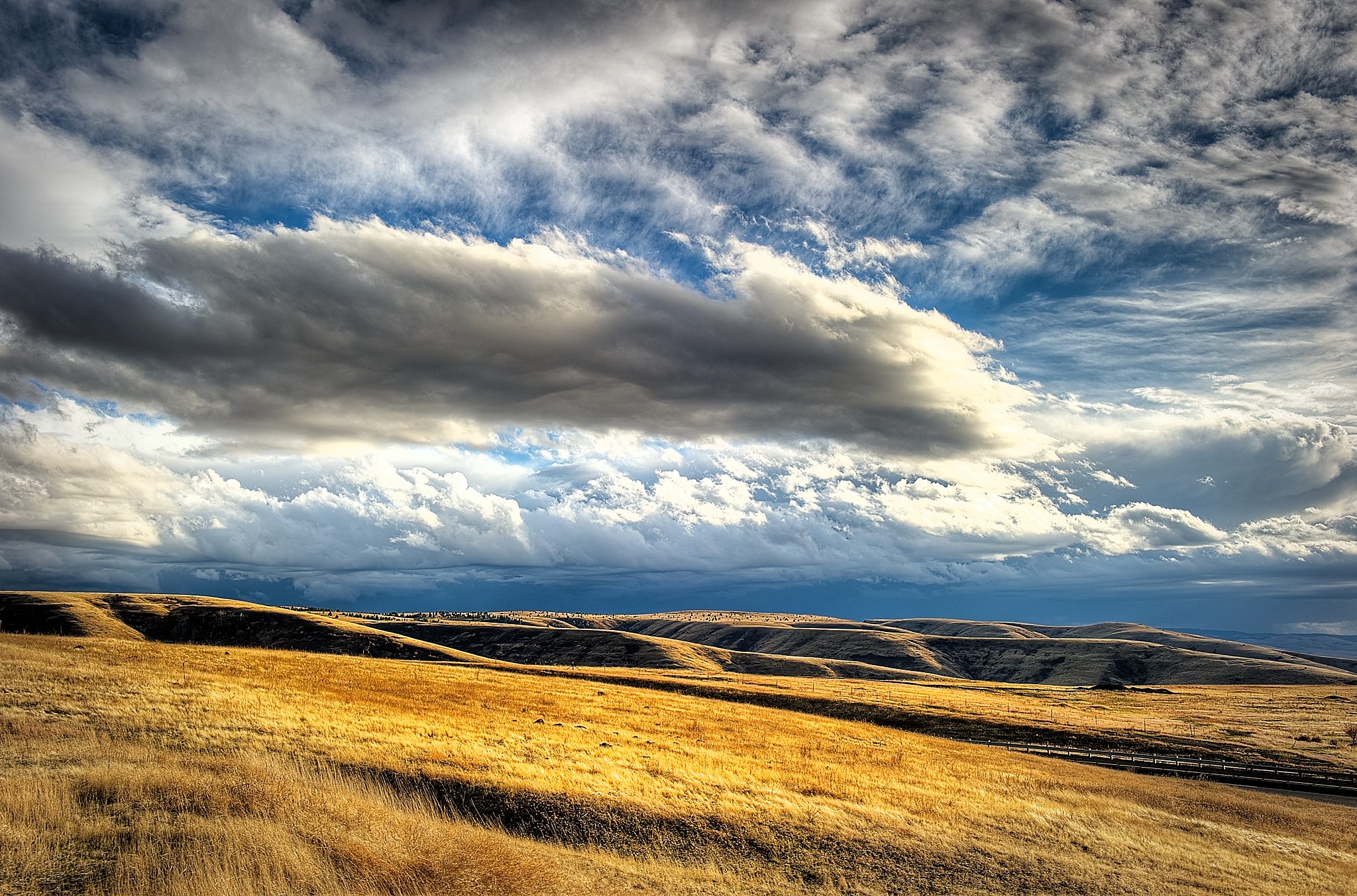 20121029-DSC_1952_0_1_3_4-Edit.jpg