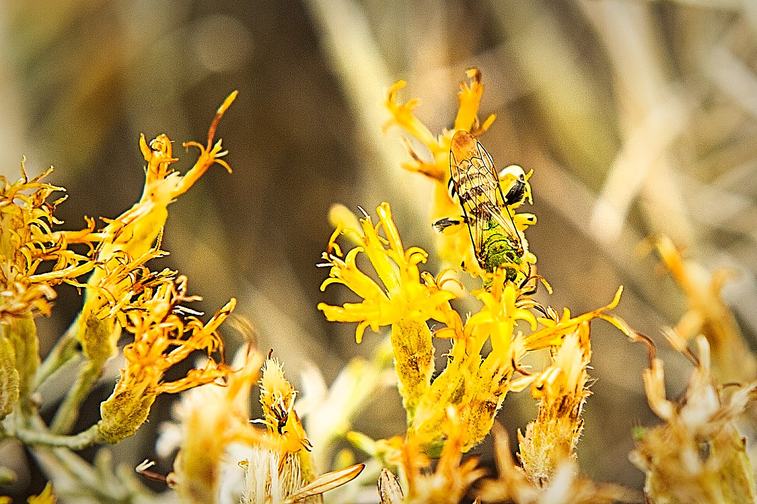 20121030-DSC_2006.jpg