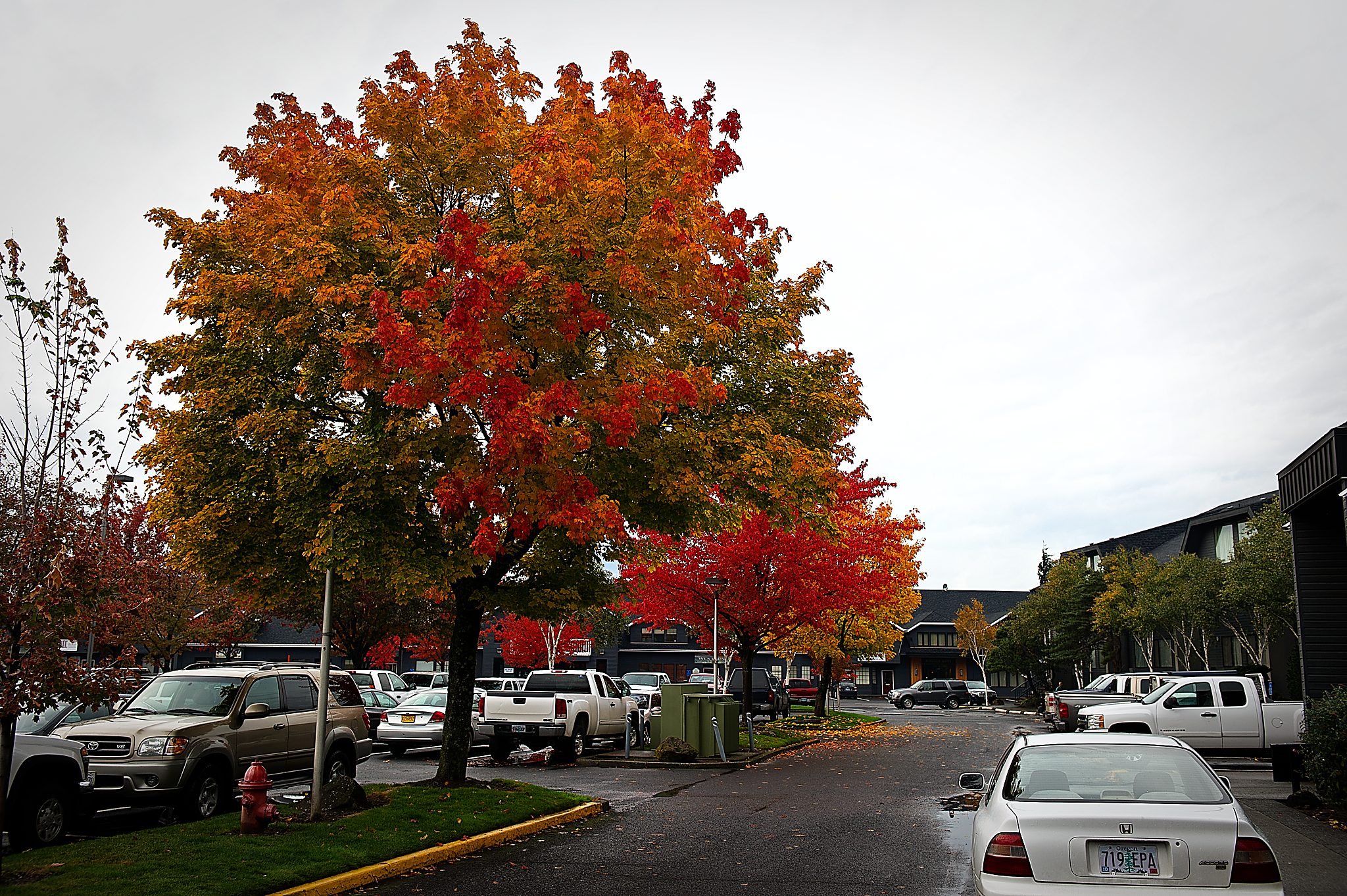 20121030-DSC_2078.jpg