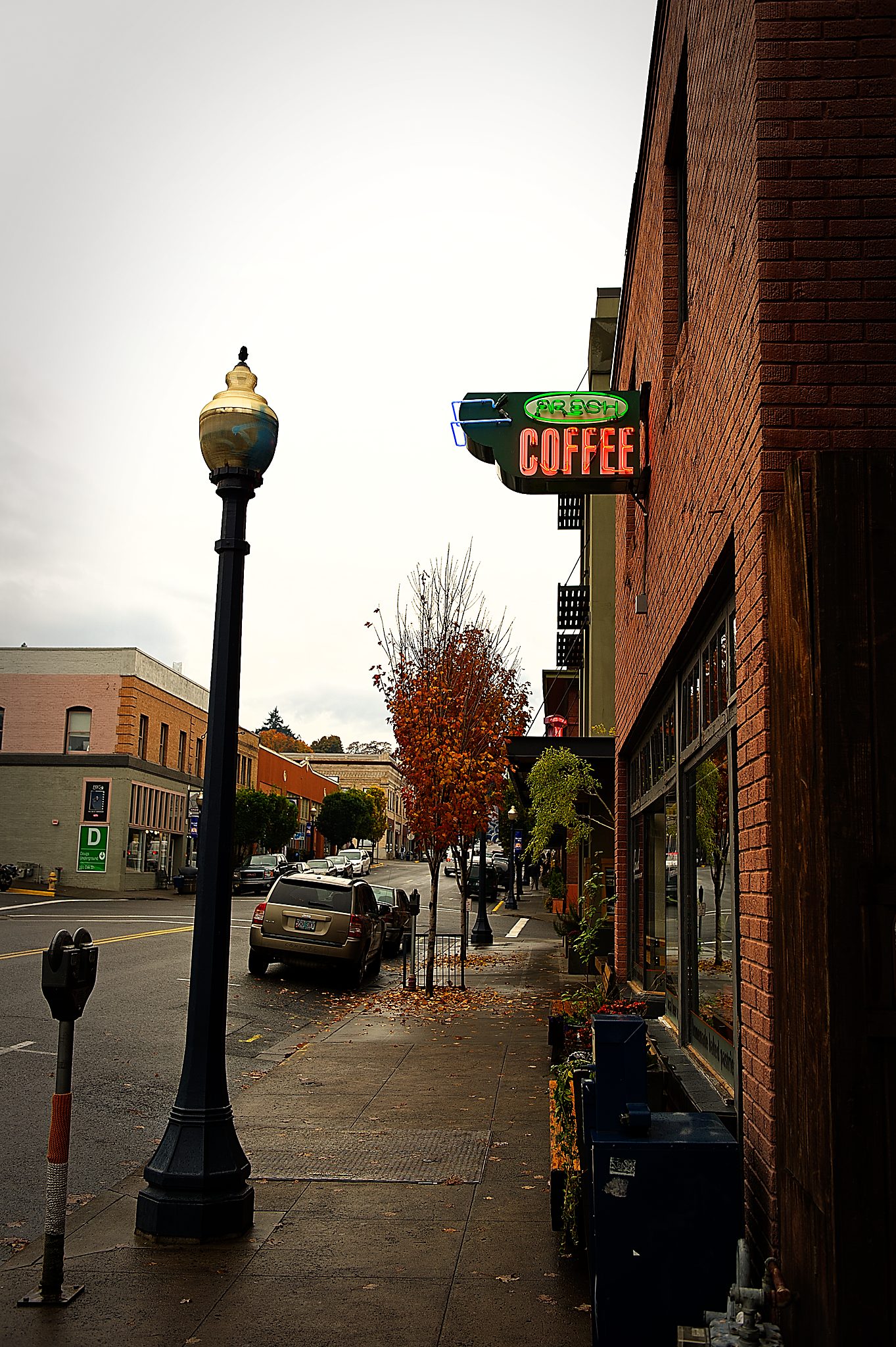 20121030-DSC_2080.jpg