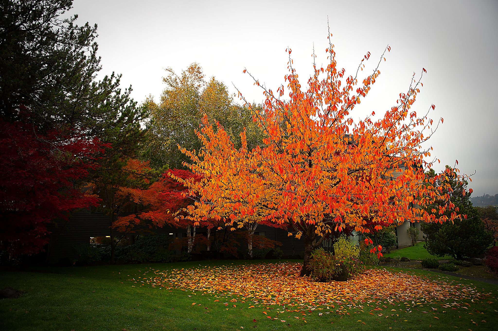 20121031-DSC_2162.jpg