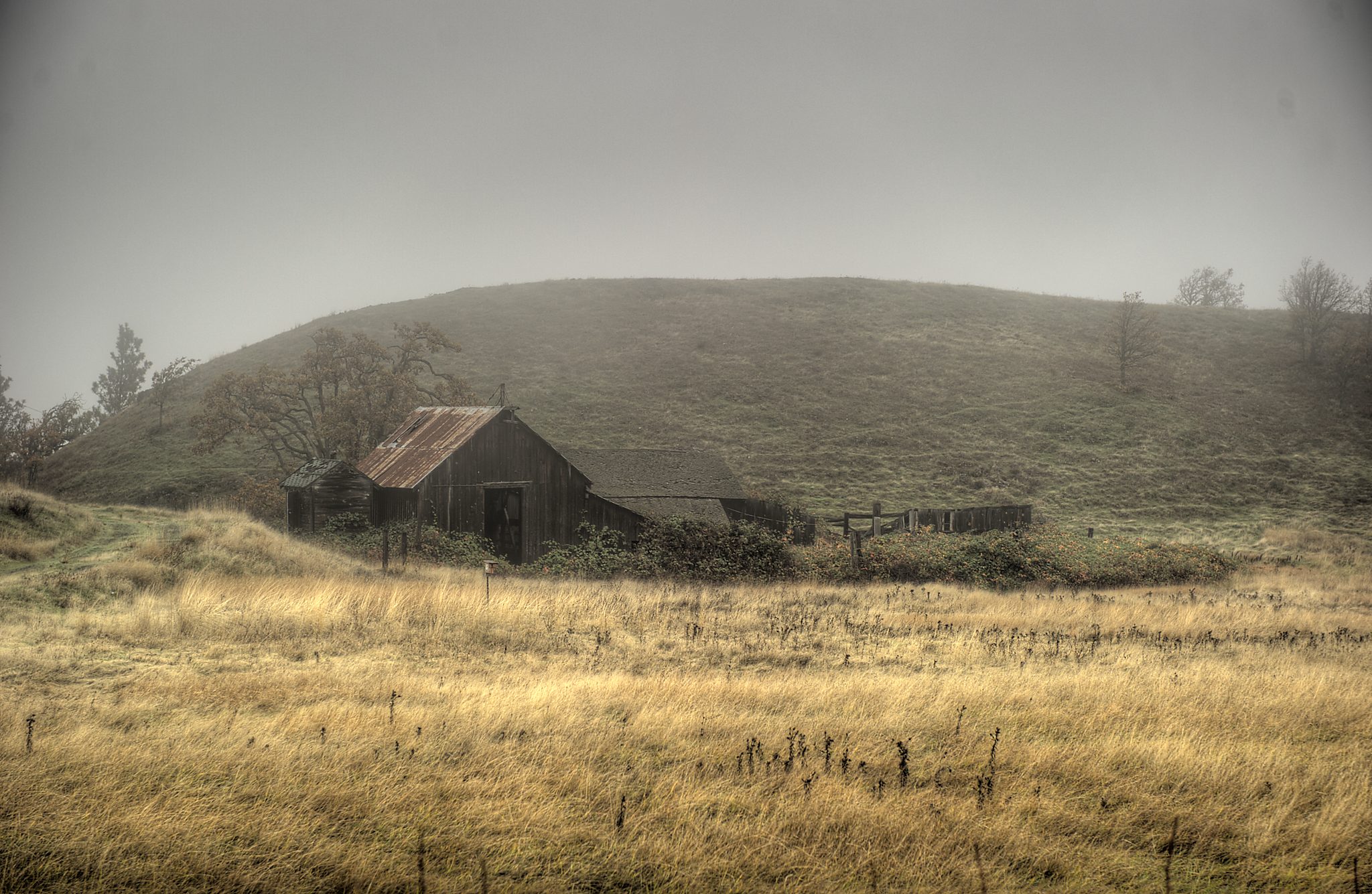 20121031-DSC_2194_0_1_2_3-Edit.jpg