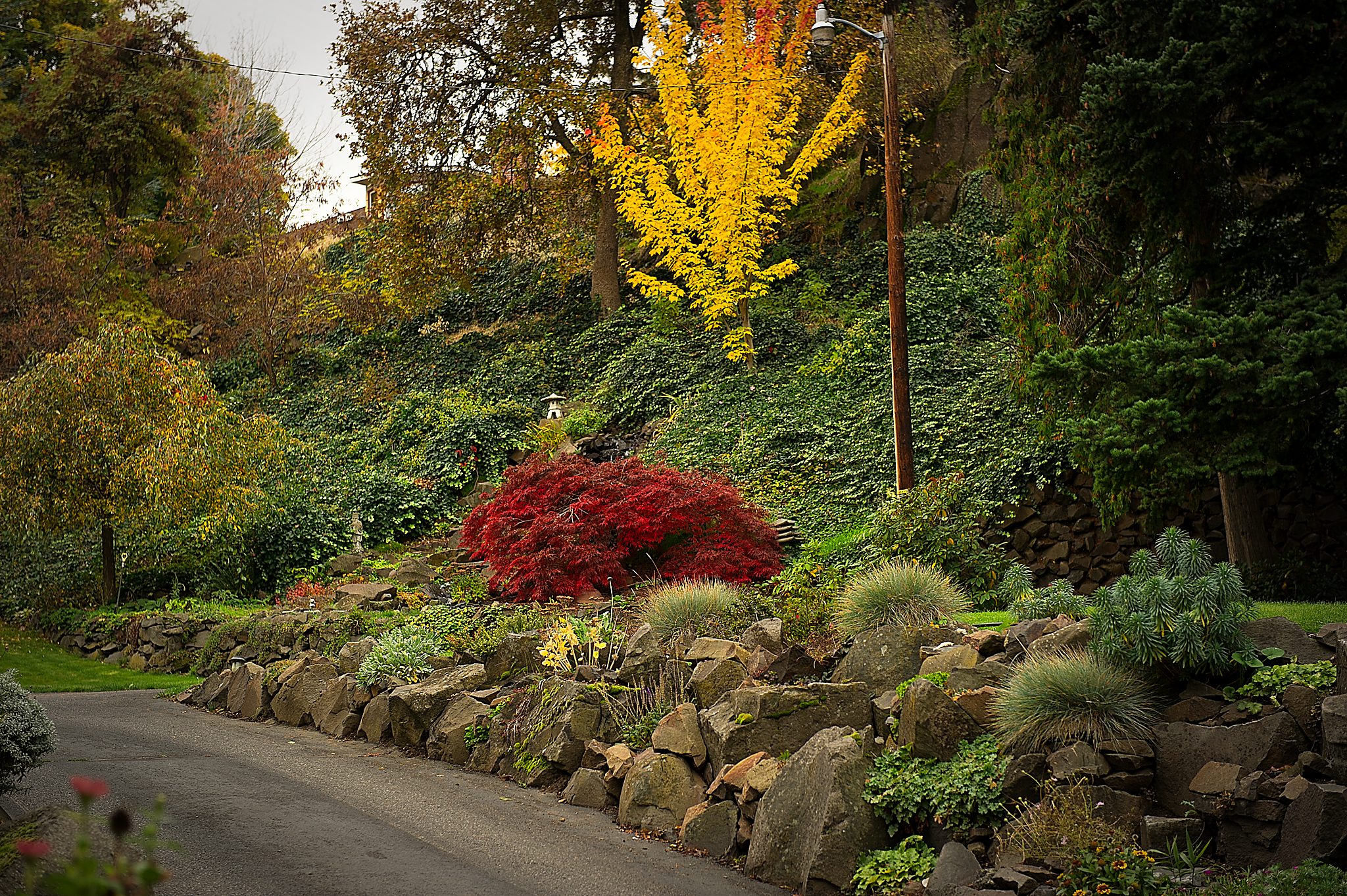 20121031-DSC_2244.jpg