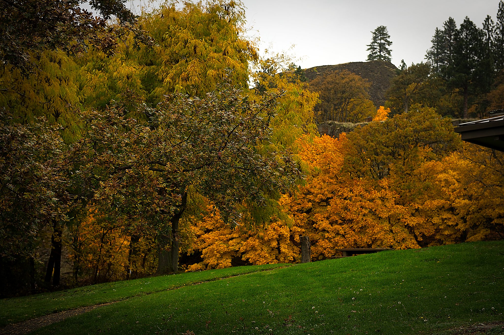 20121031-DSC_2395.jpg