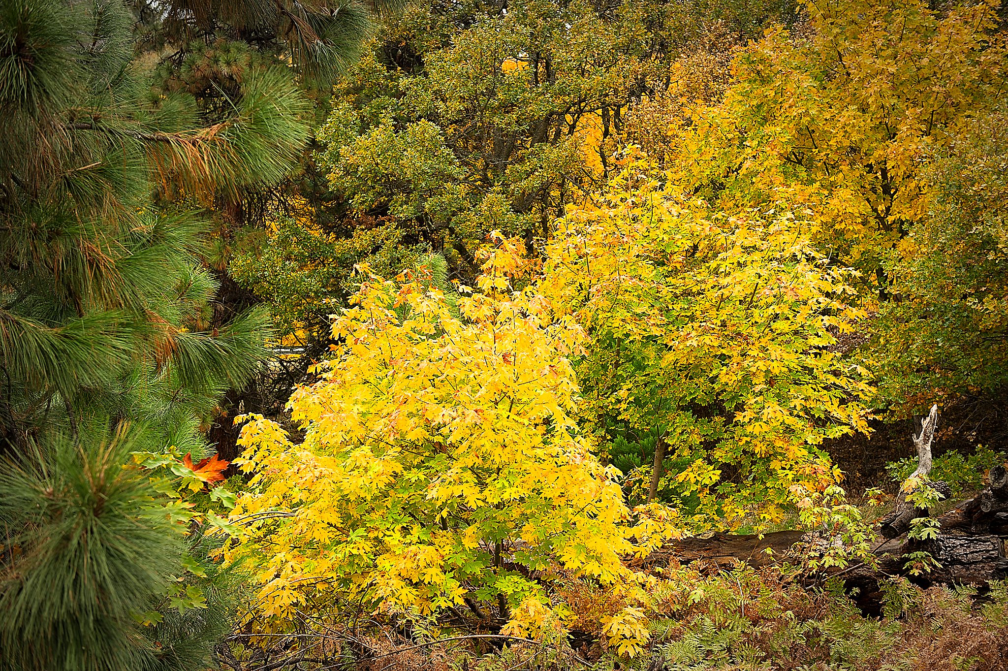 20121031-DSC_2418.jpg