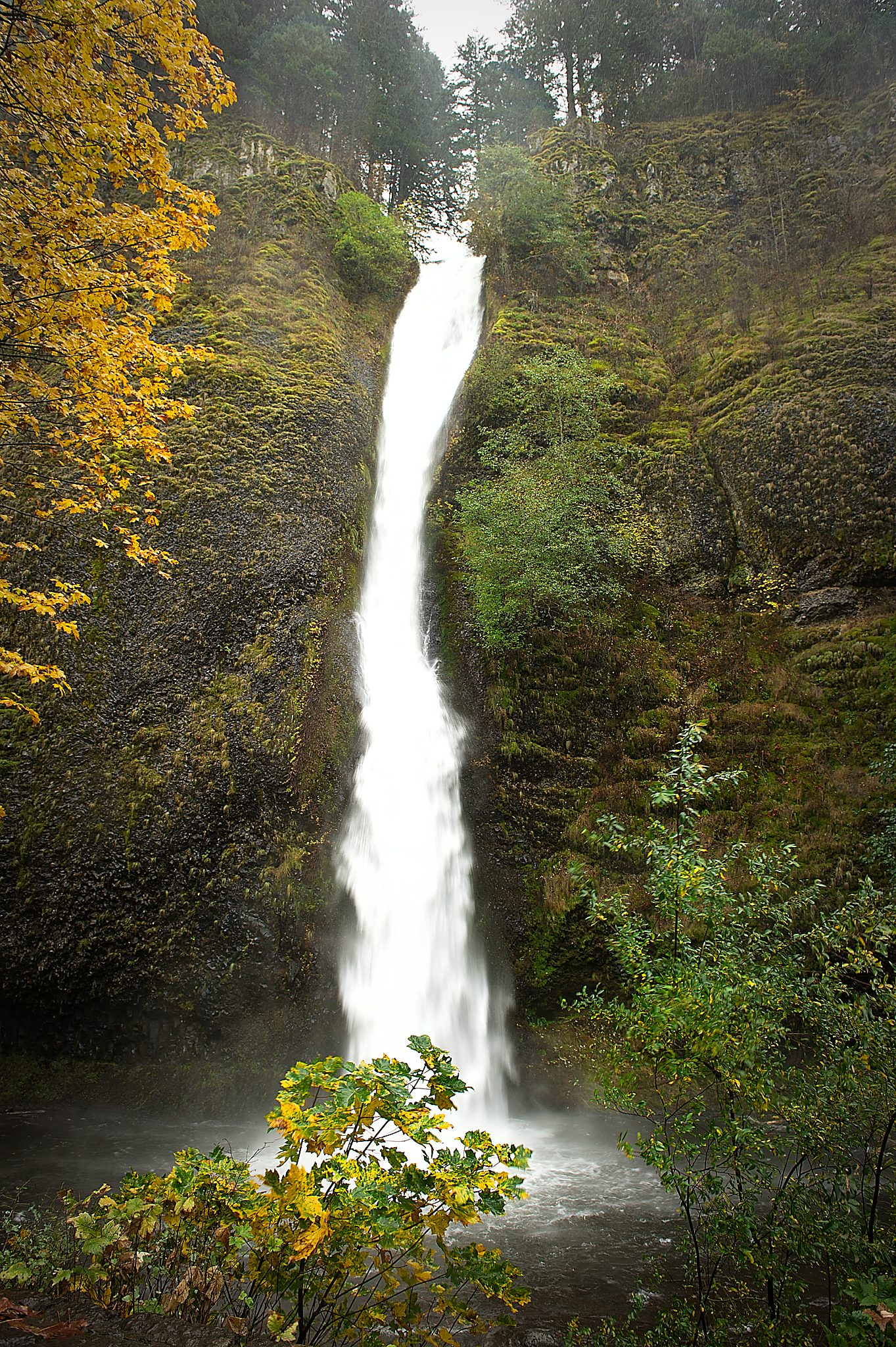 20121101-DSC_2444.jpg